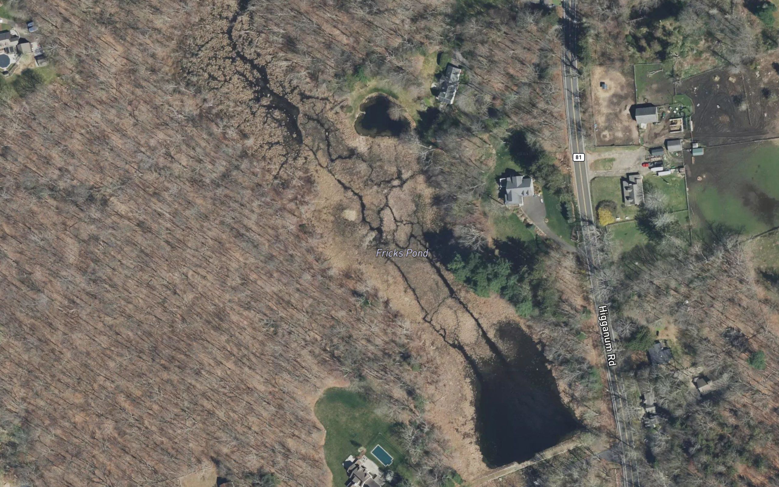 Fricks Pond