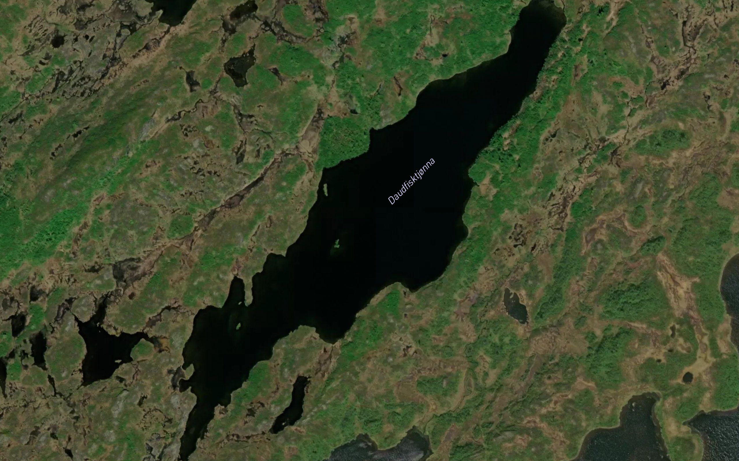 Daudfisktjonna