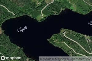 Viljus