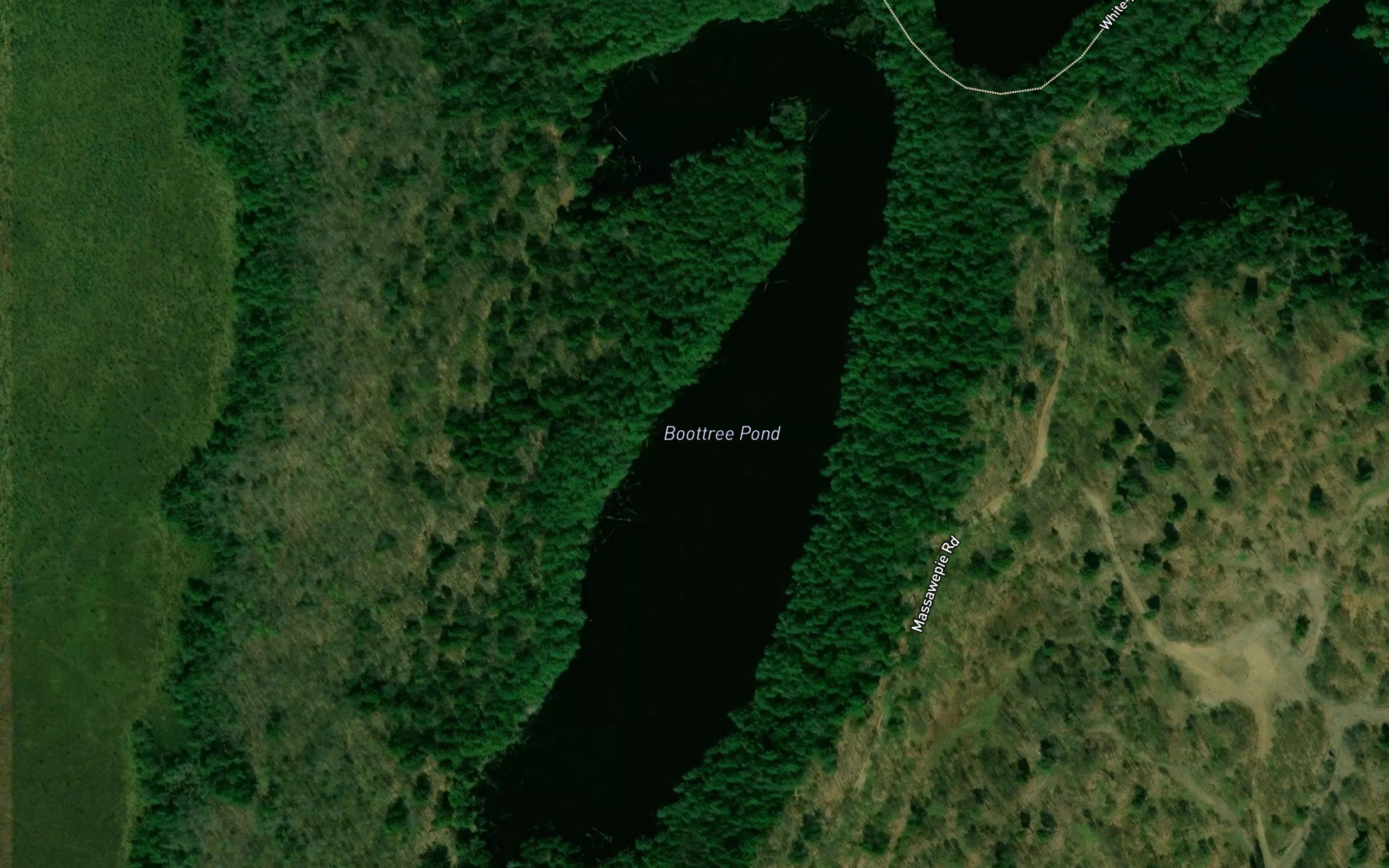 Boottree Pond