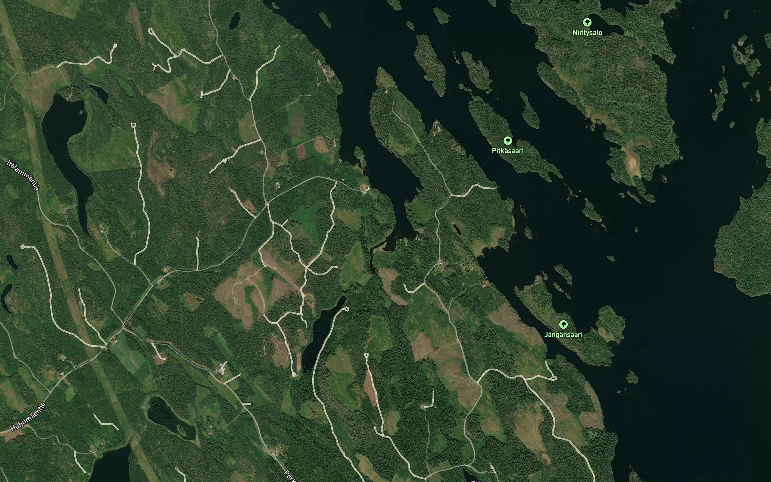 Suontjoki