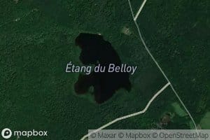 Etang du Belloy