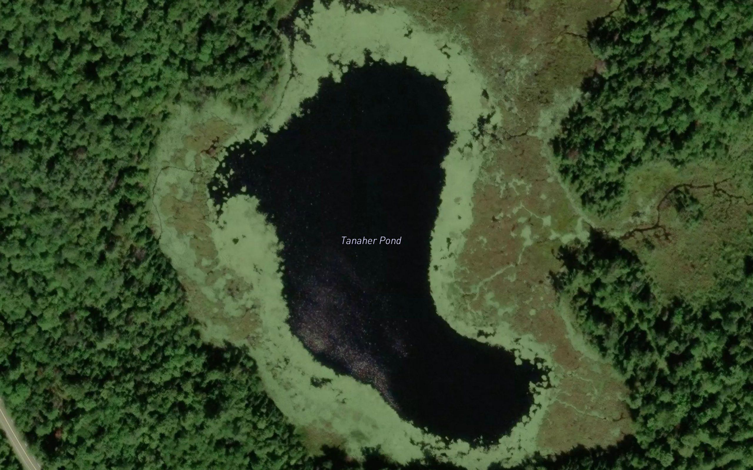 Tanaher Pond