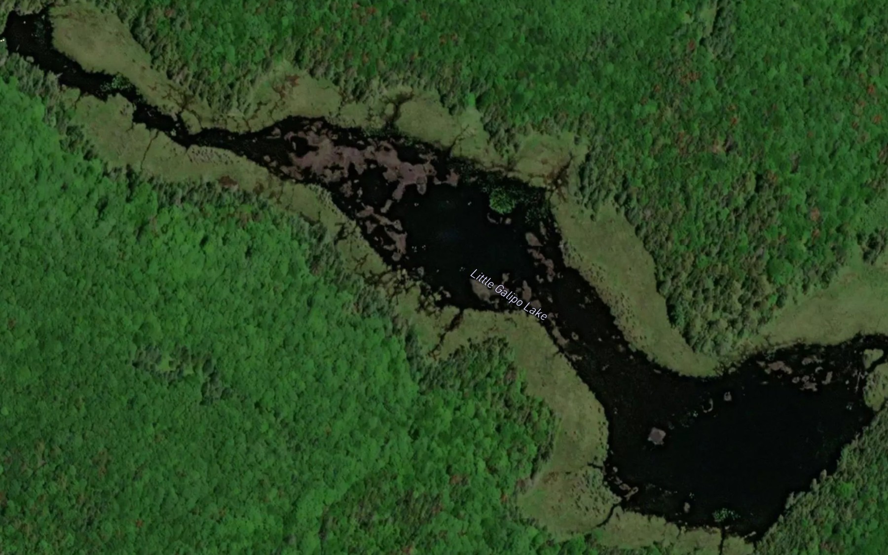 Satellite map of the Little Galipo Lake