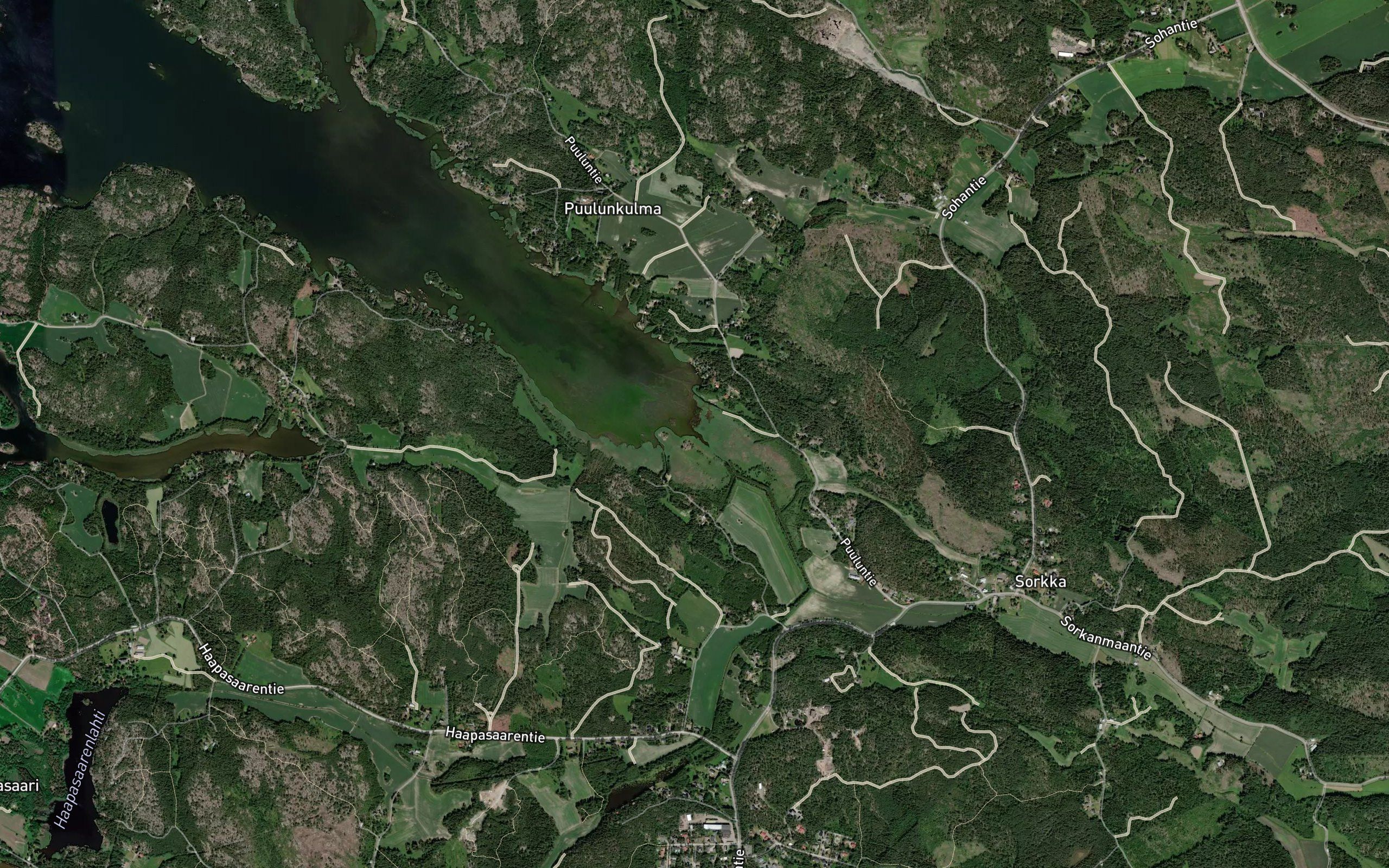 Hiuknummenoja