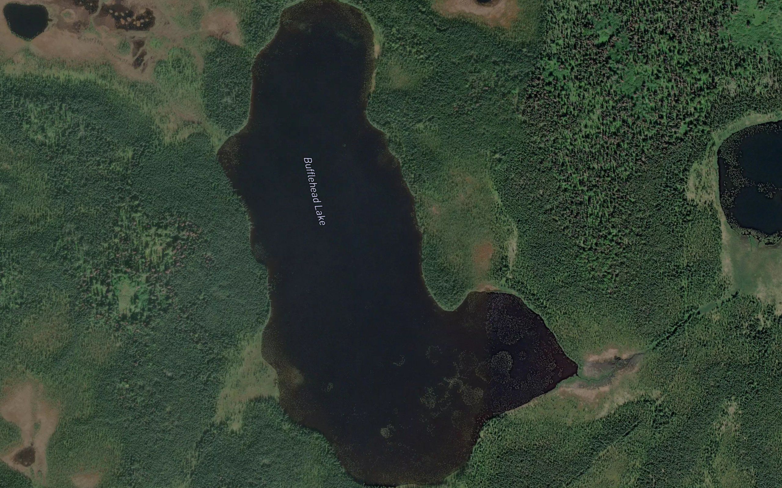 Bufflehead Lake