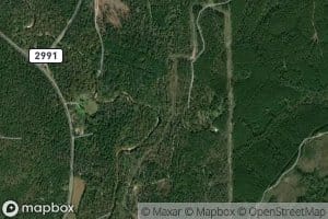 Swindler Creek