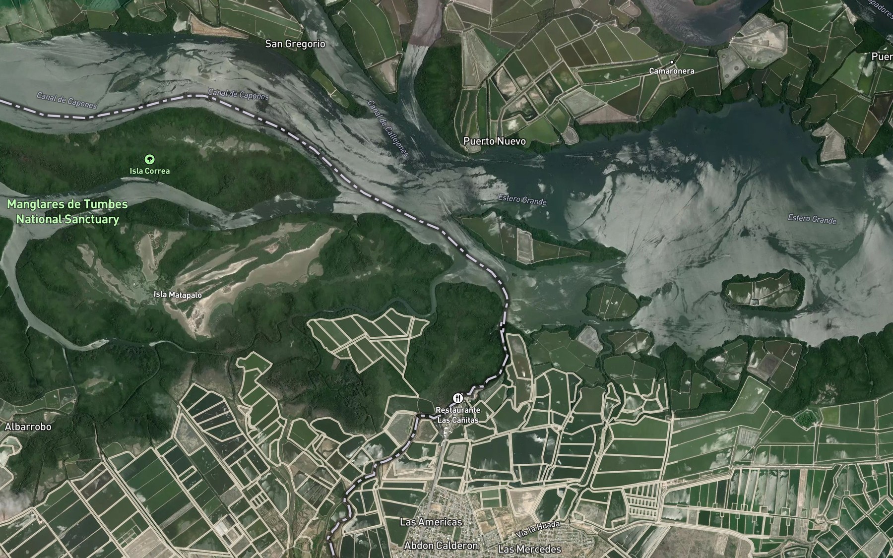 Satellite map of the Estero La Matanza