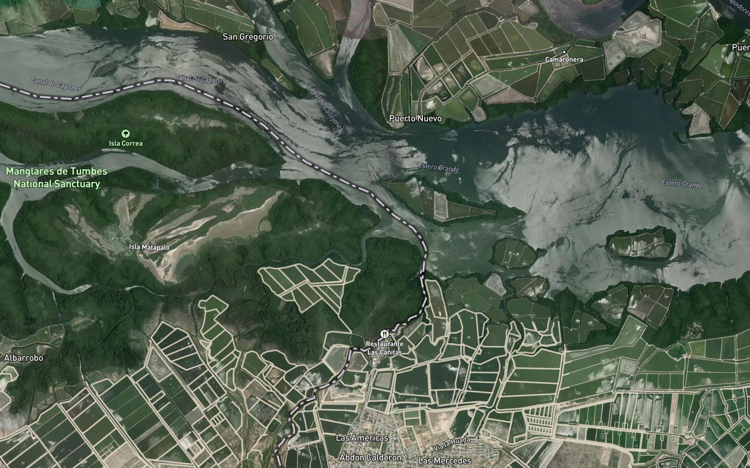 Estero La Matanza