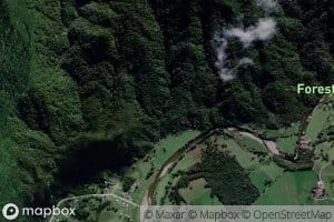 Whakanekeneke Stream