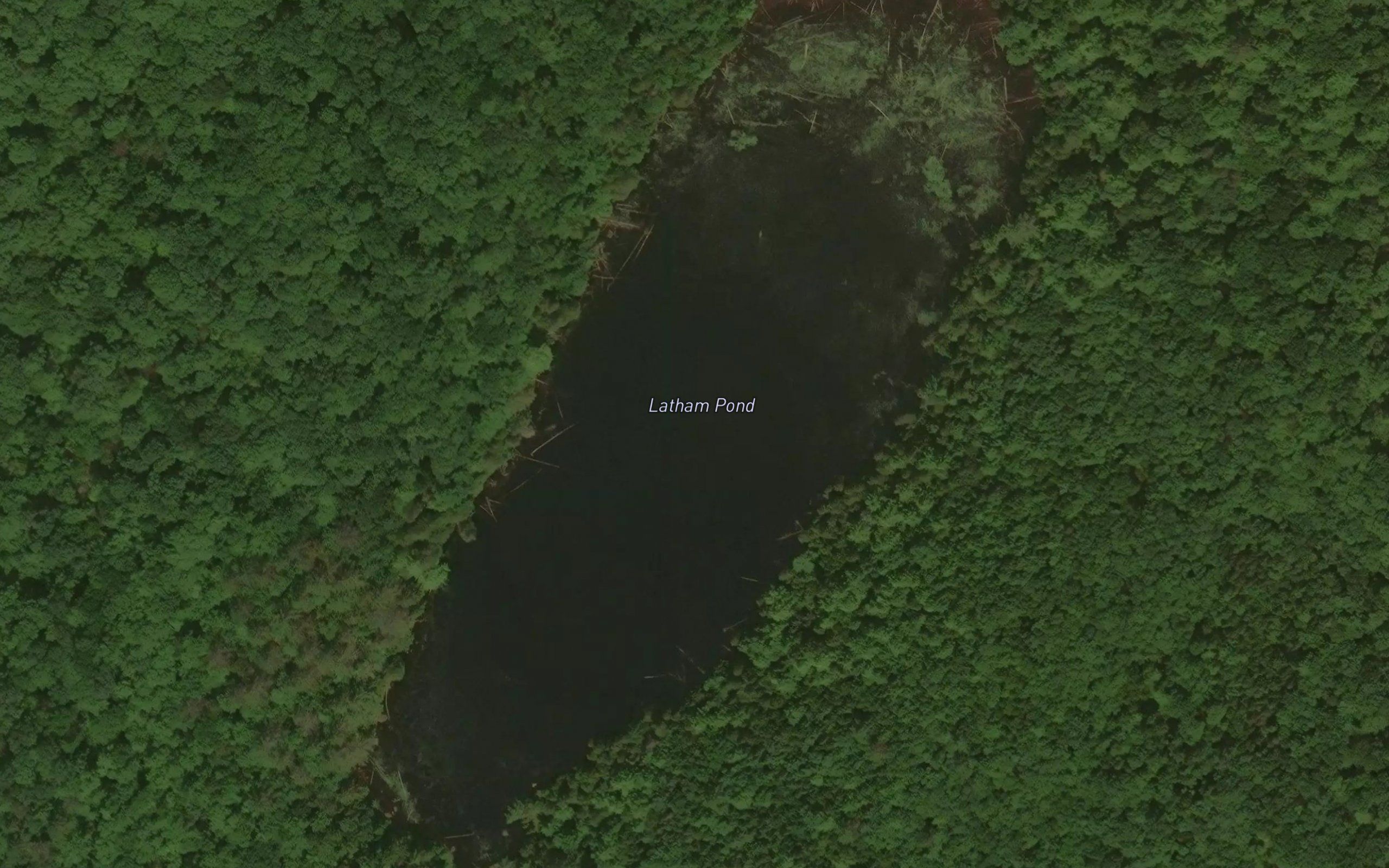 Latham Pond