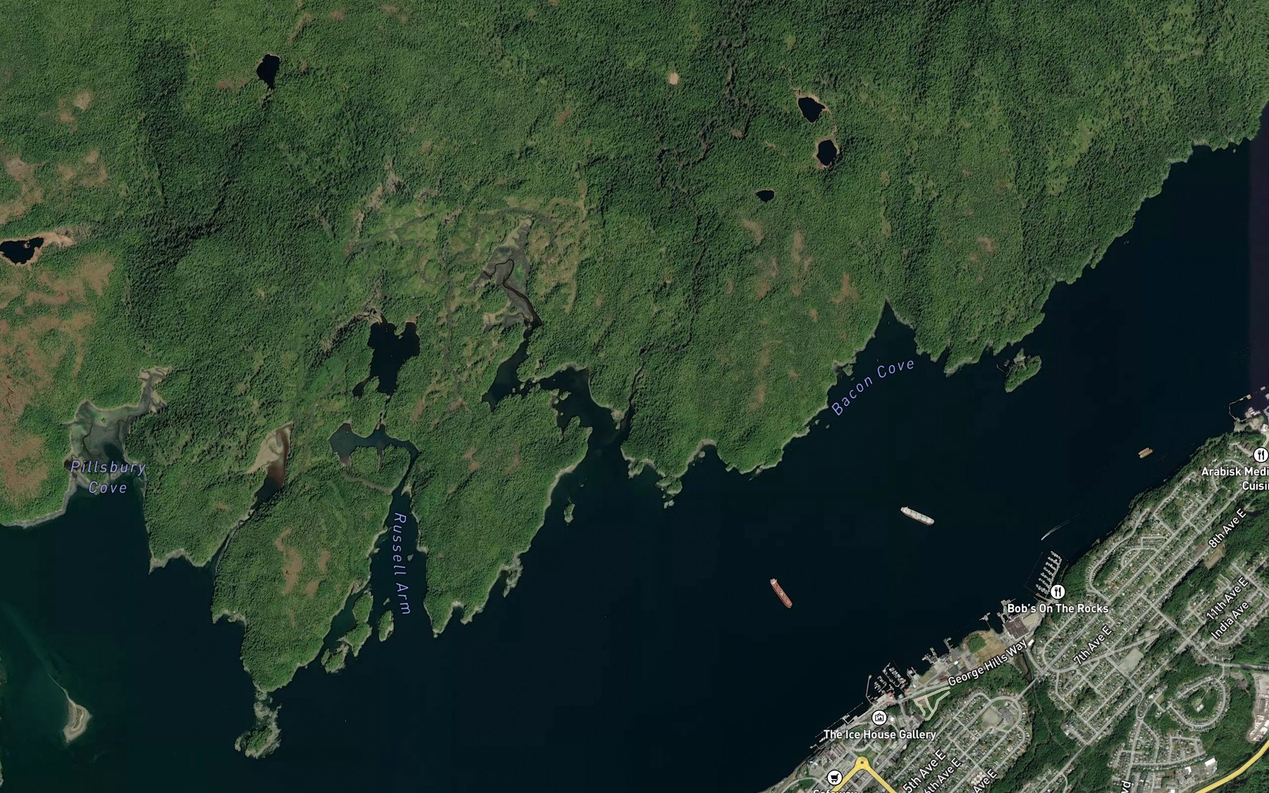 Satellite map of the McNichol Creek