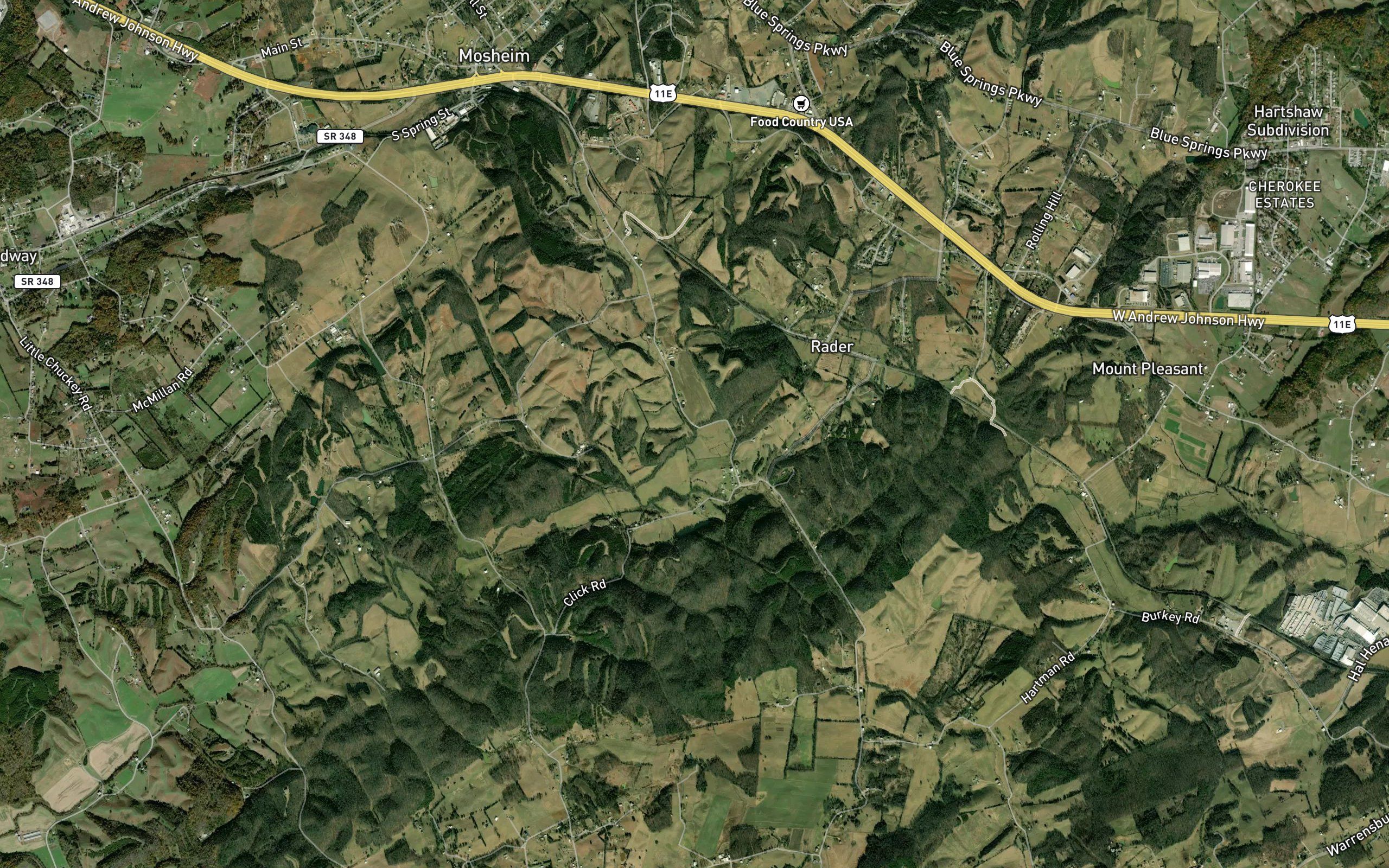 Mosheim Branch