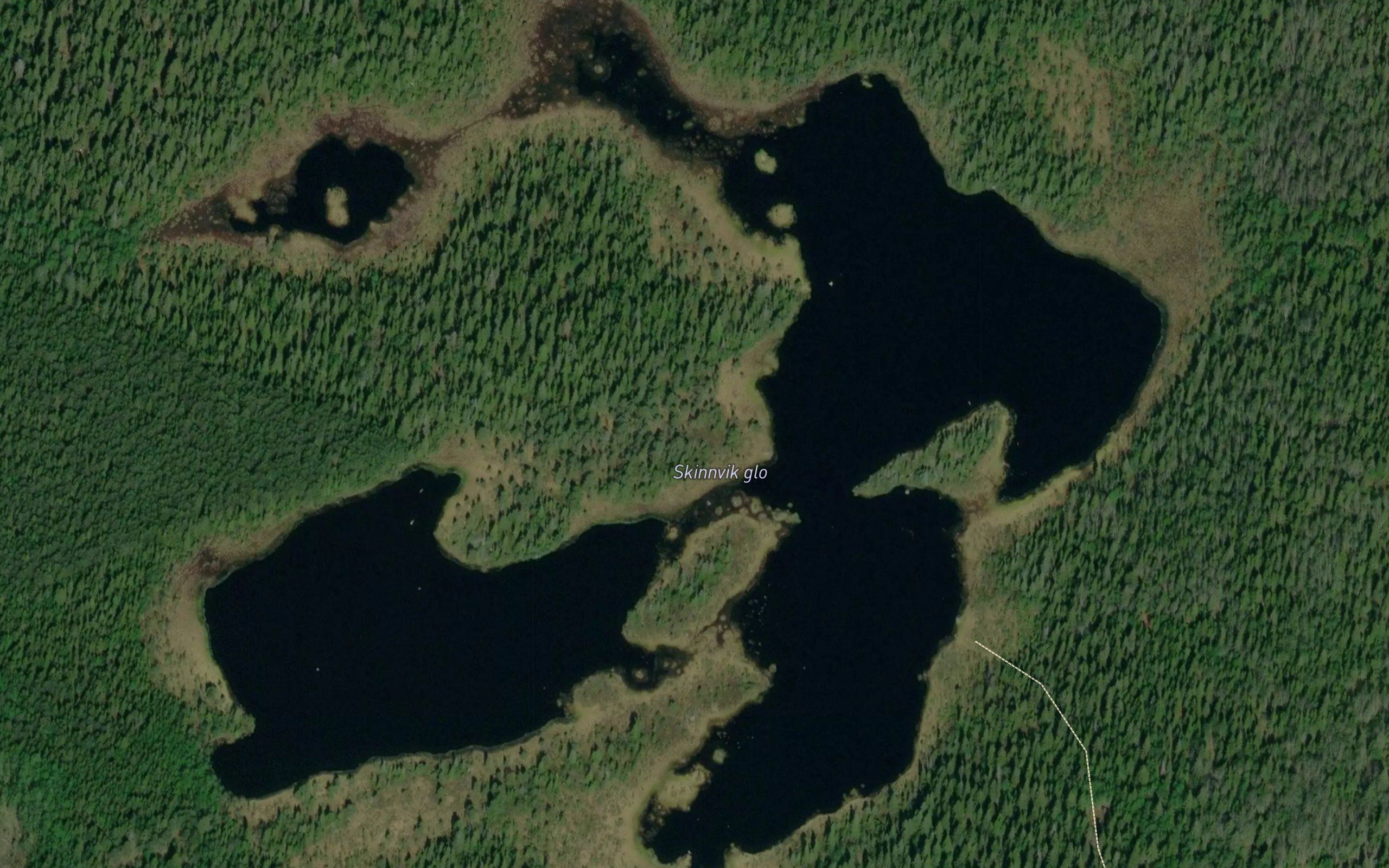 Skinnvik Glo