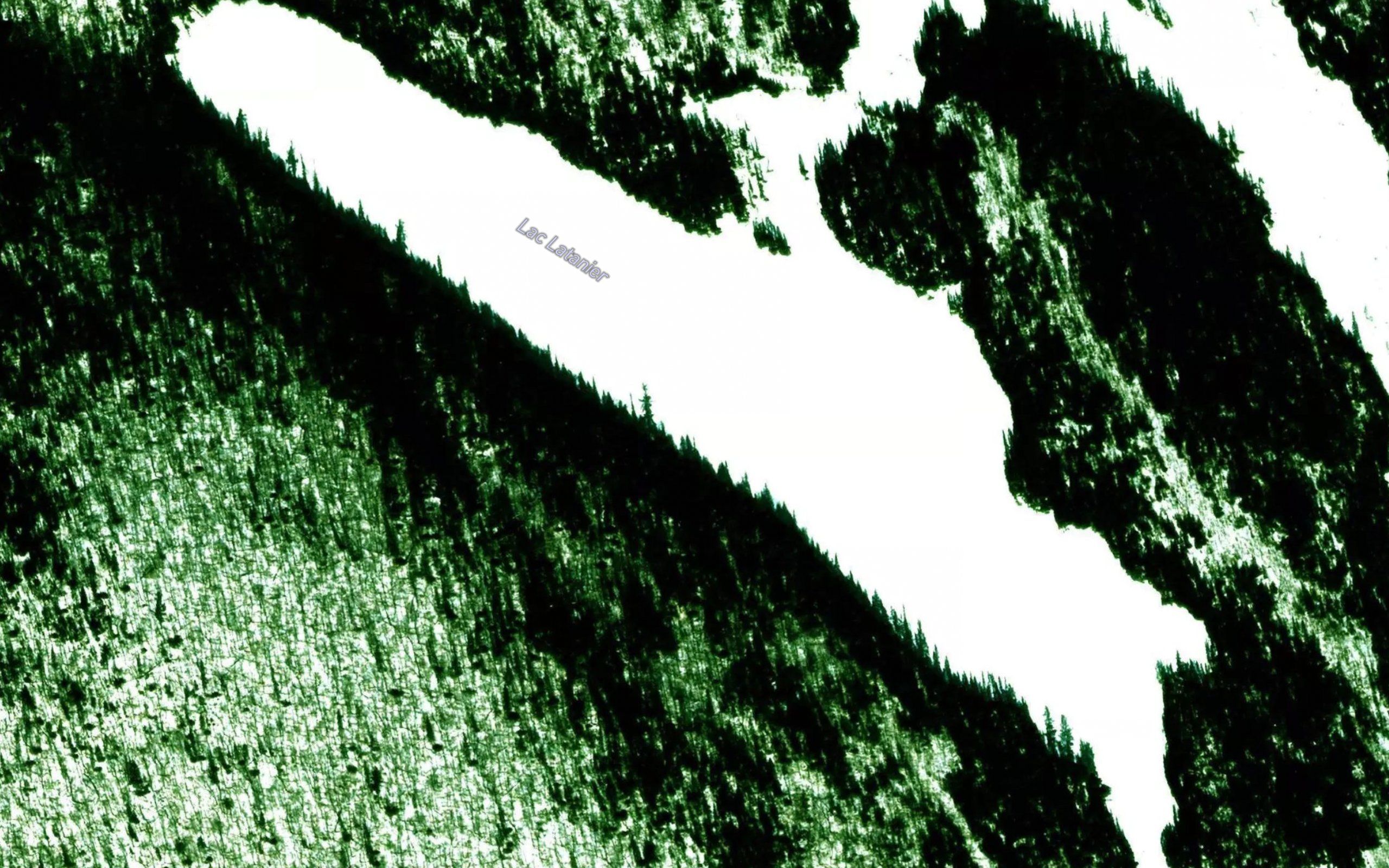 Lac Latanier