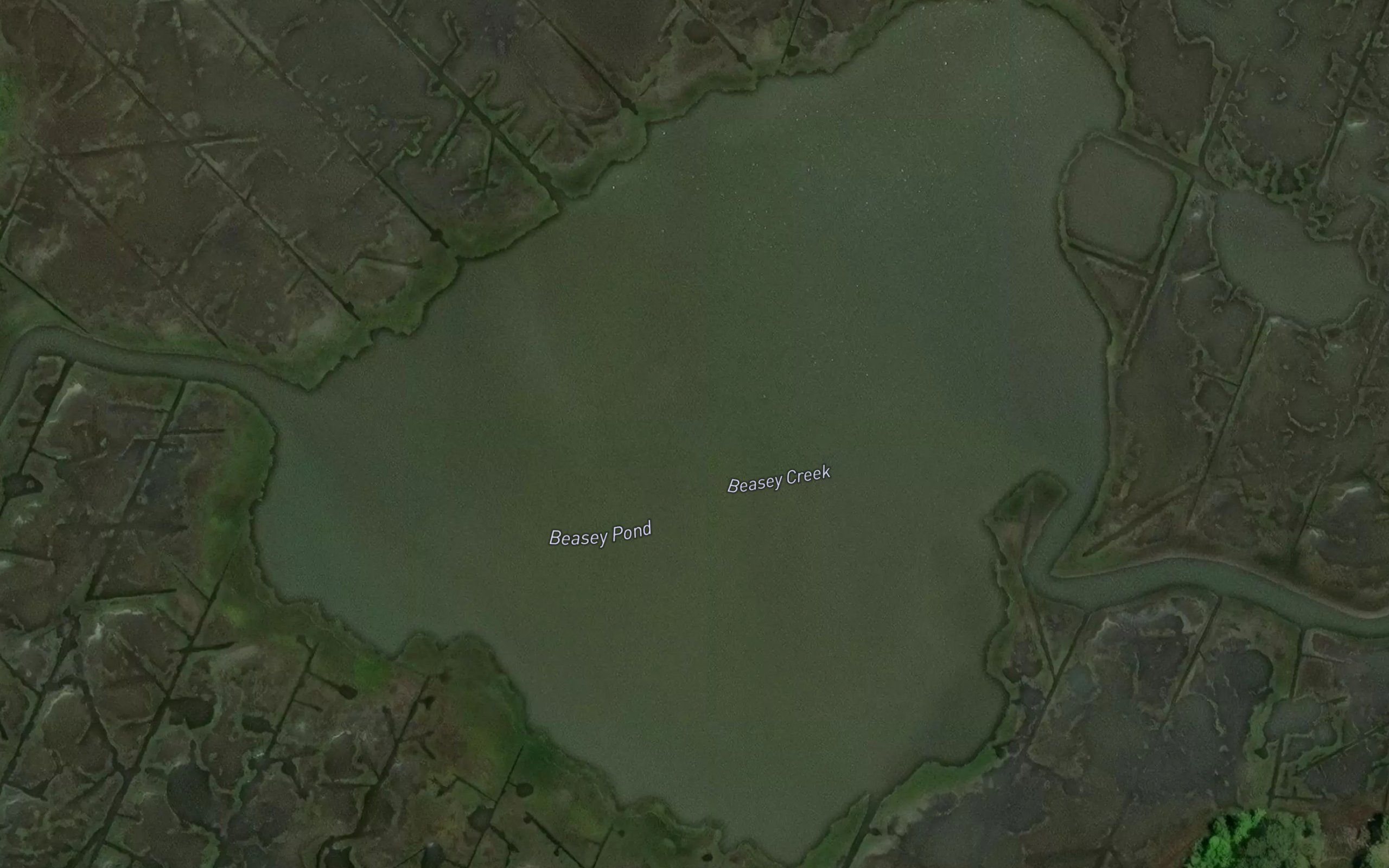 Beasey Pond