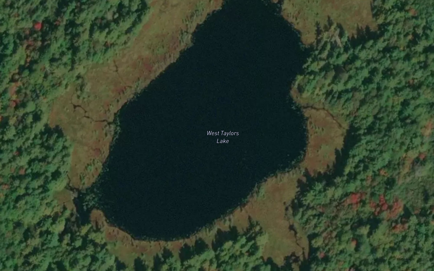 Satellite map of the West Taylors Lake