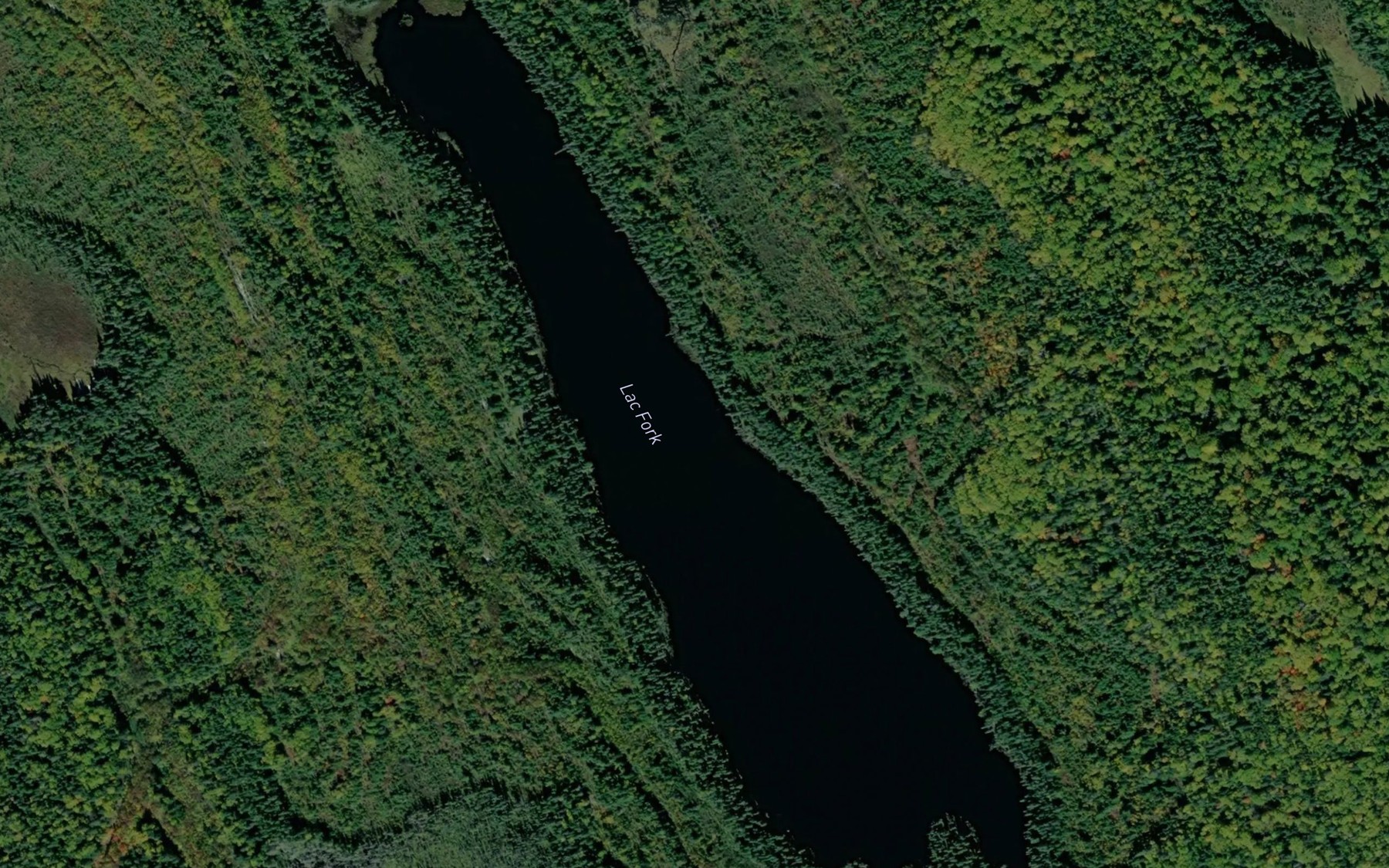 Satellite map of the Lac Fork