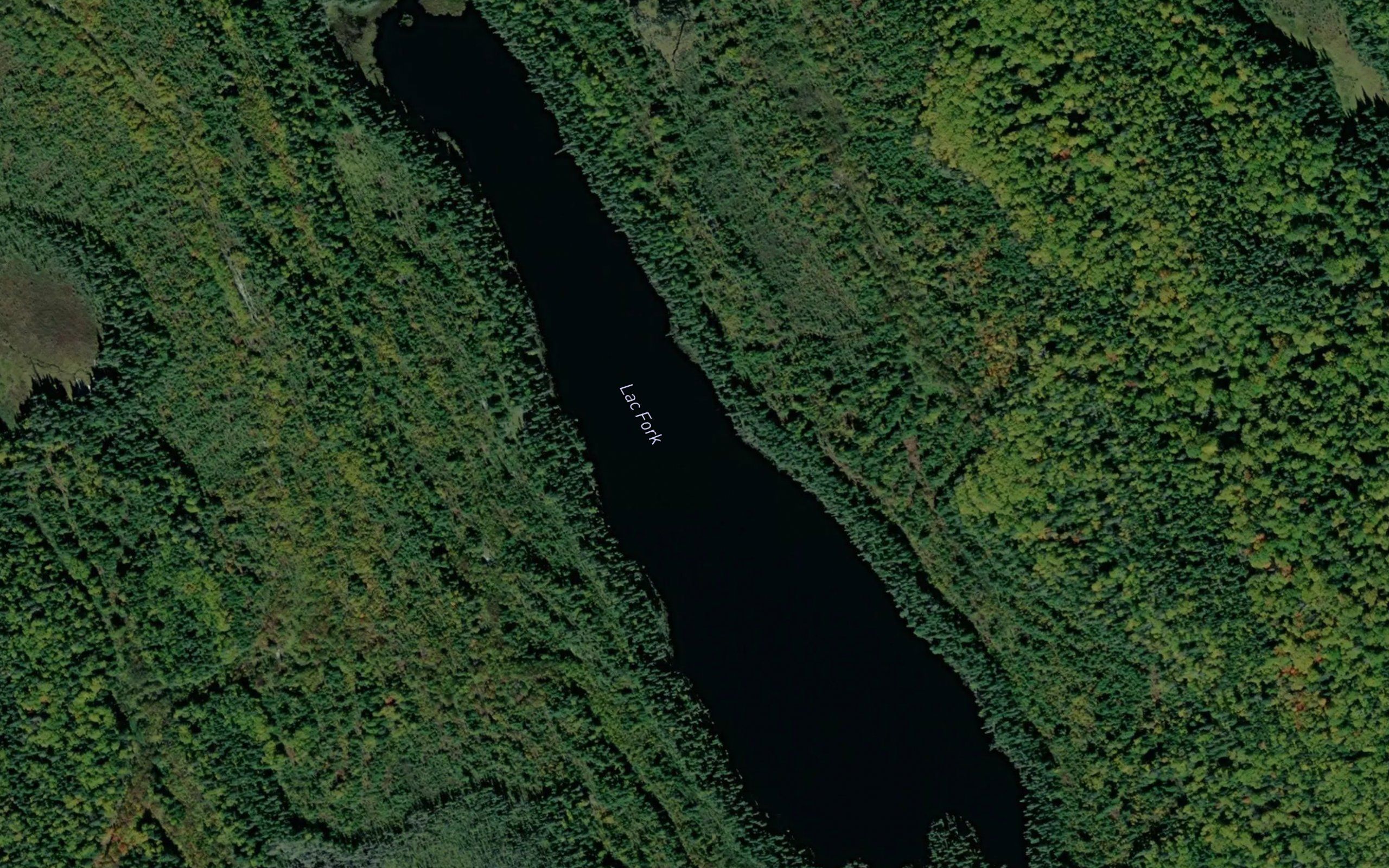 Lac Fork
