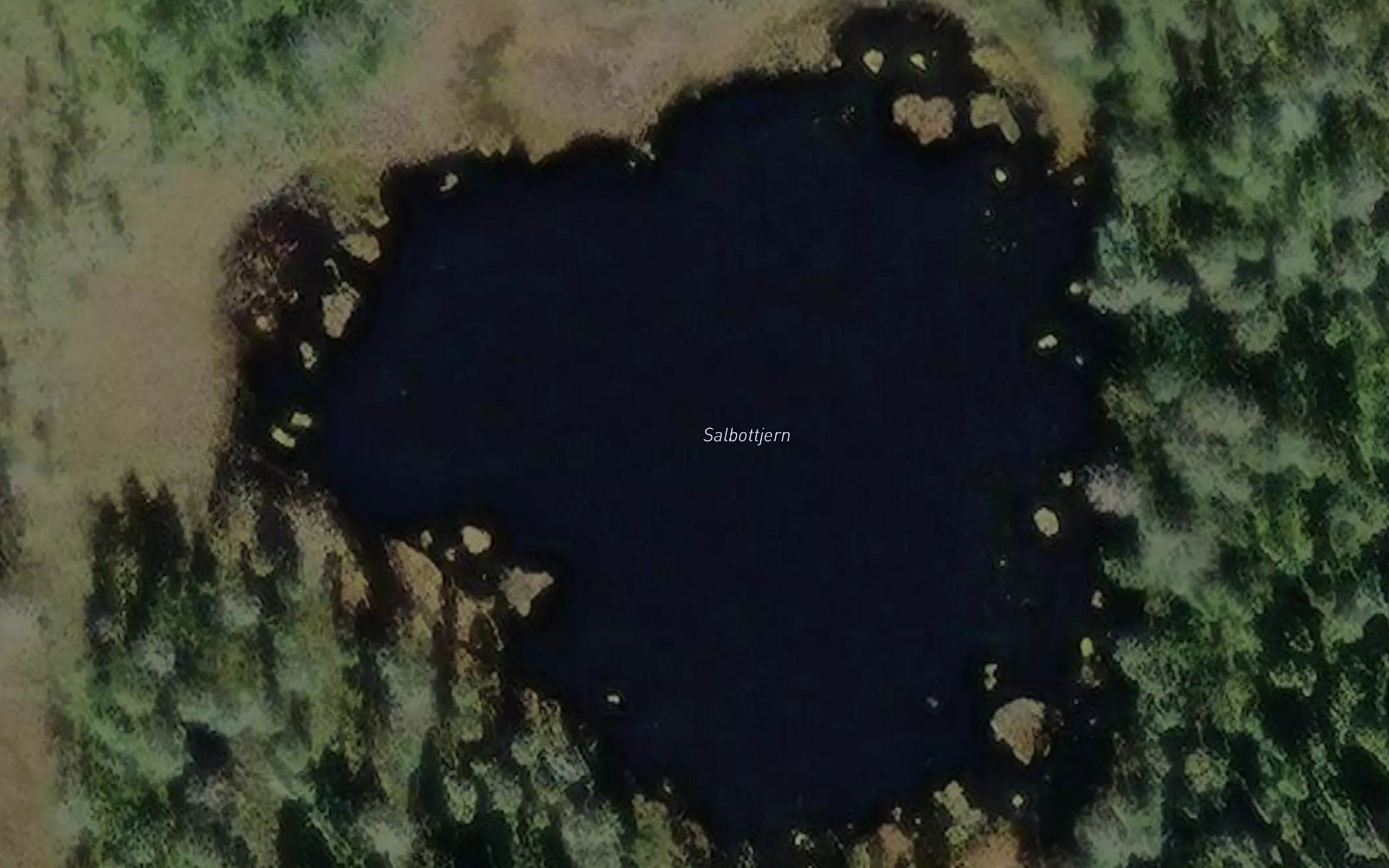 Salbottjern