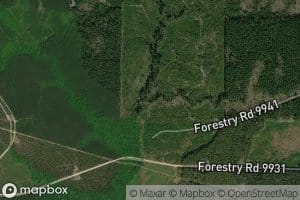 Irrington Spring Branch