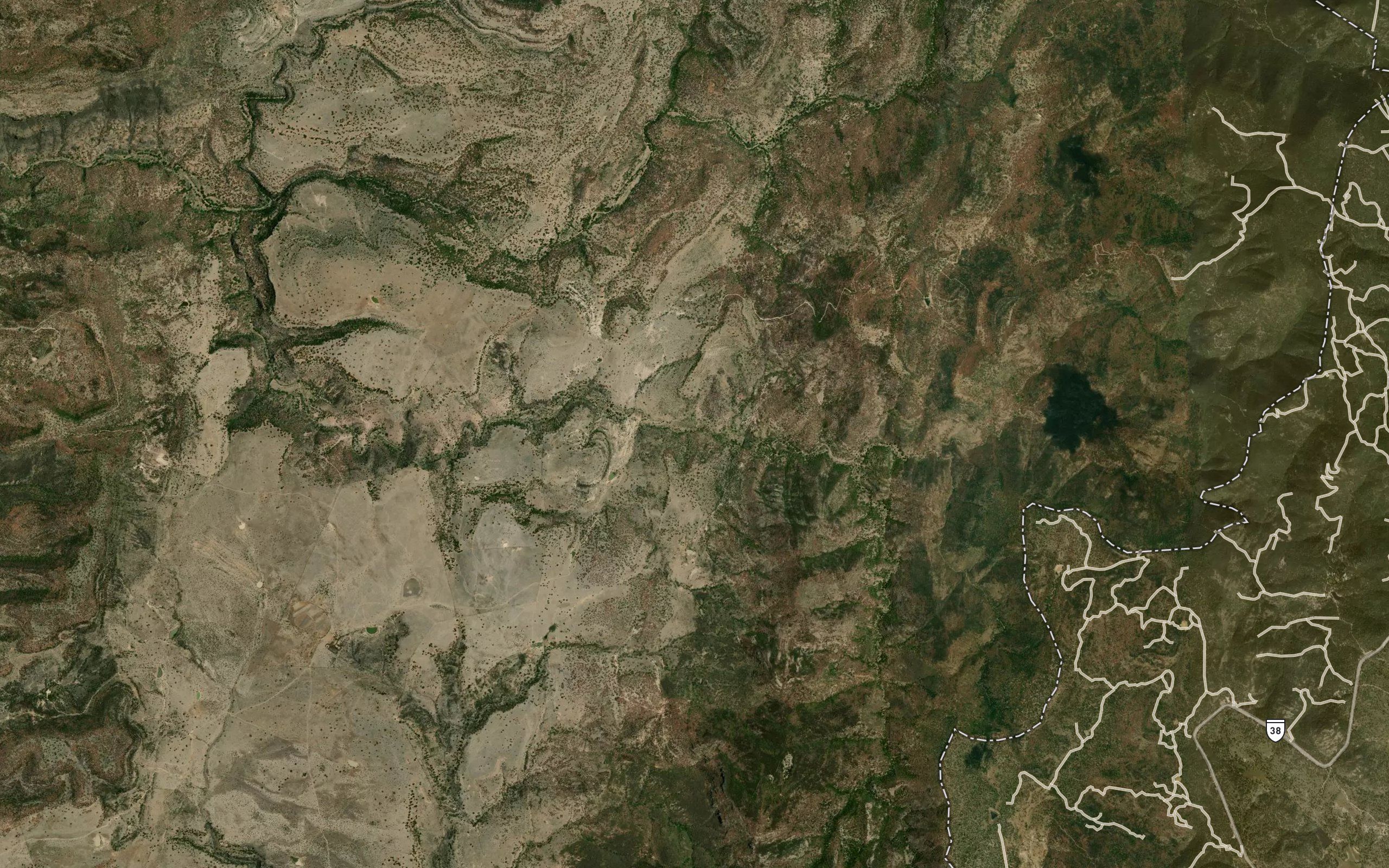 La Contadora