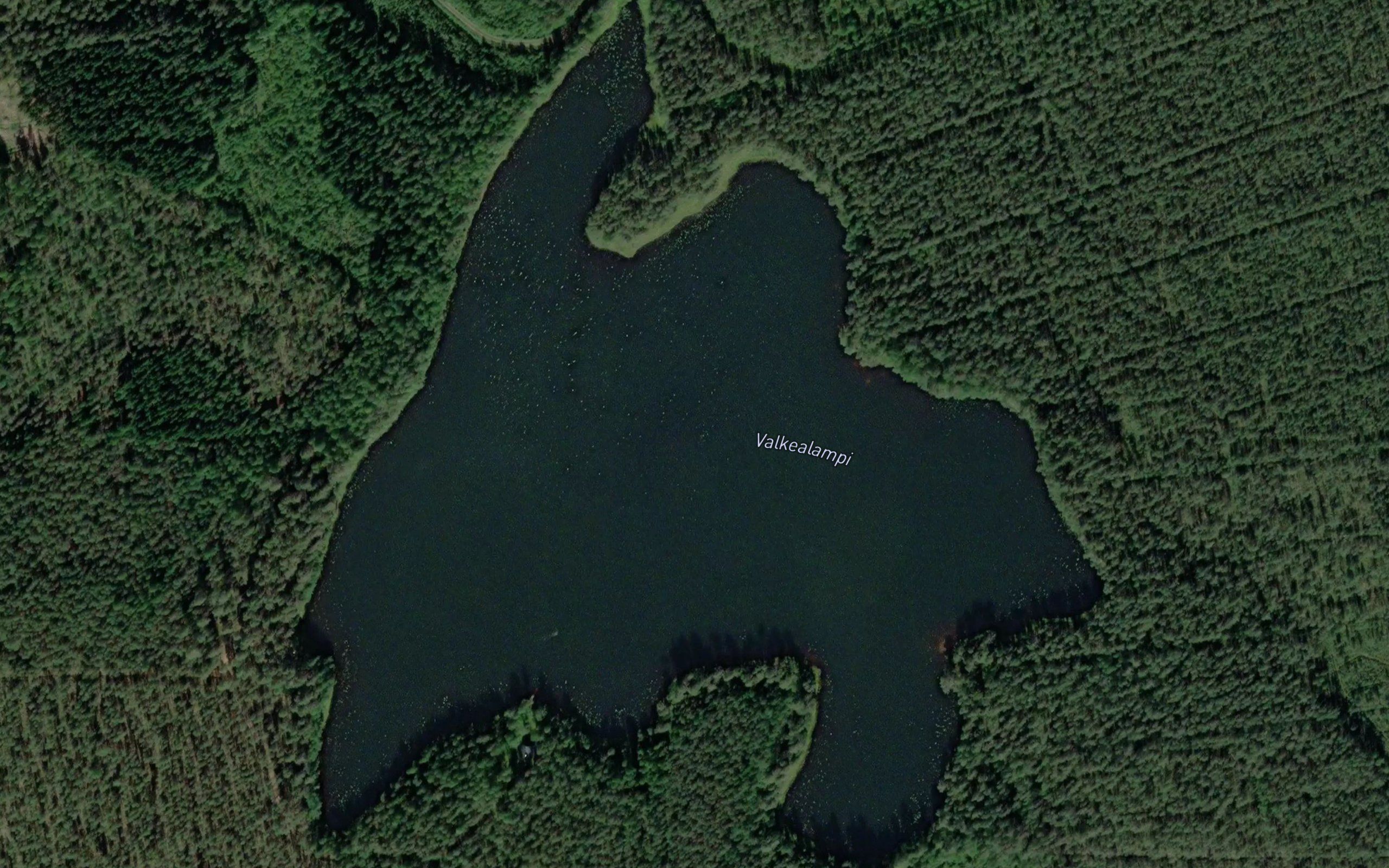 Valkealampi