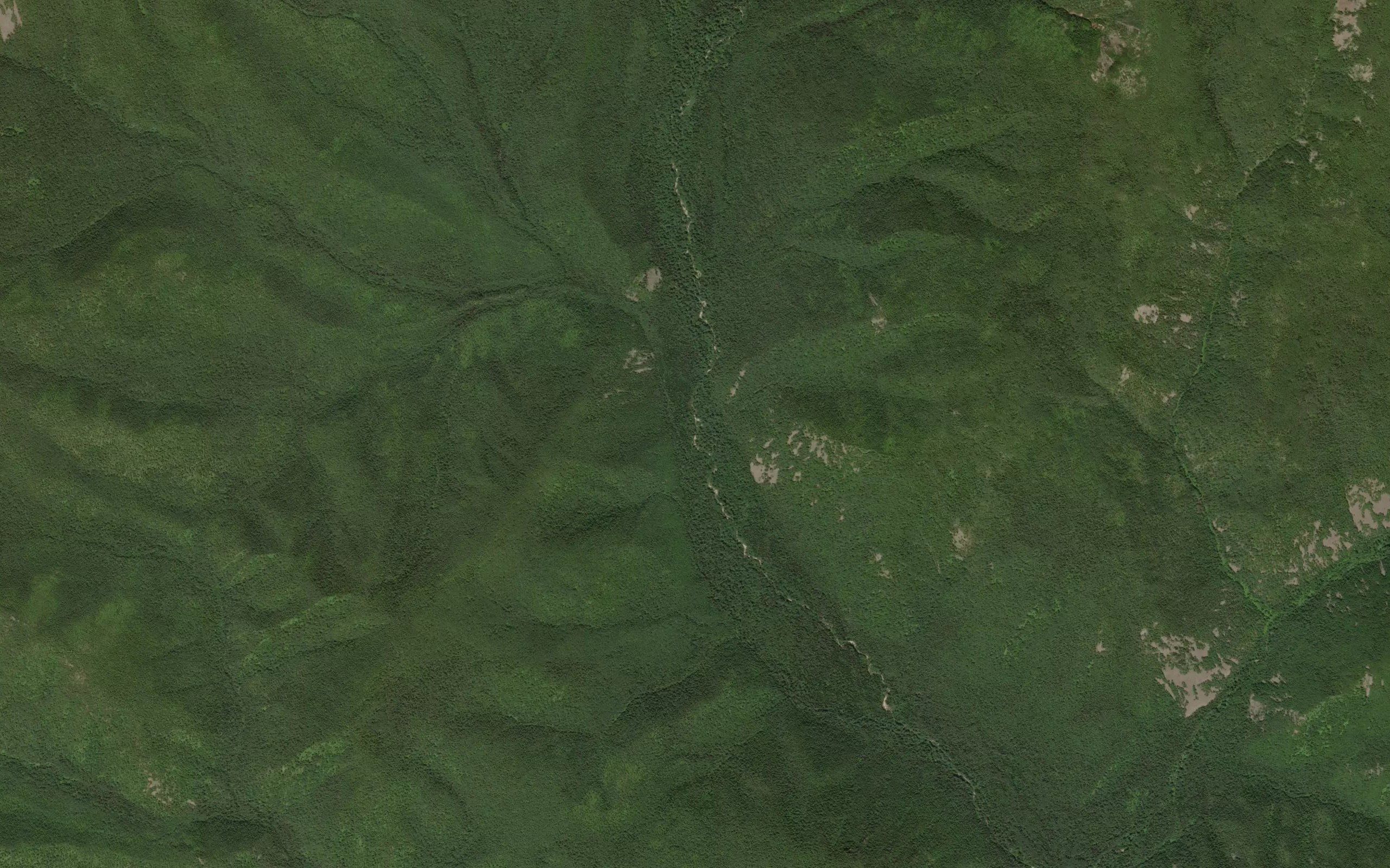 Korshunov