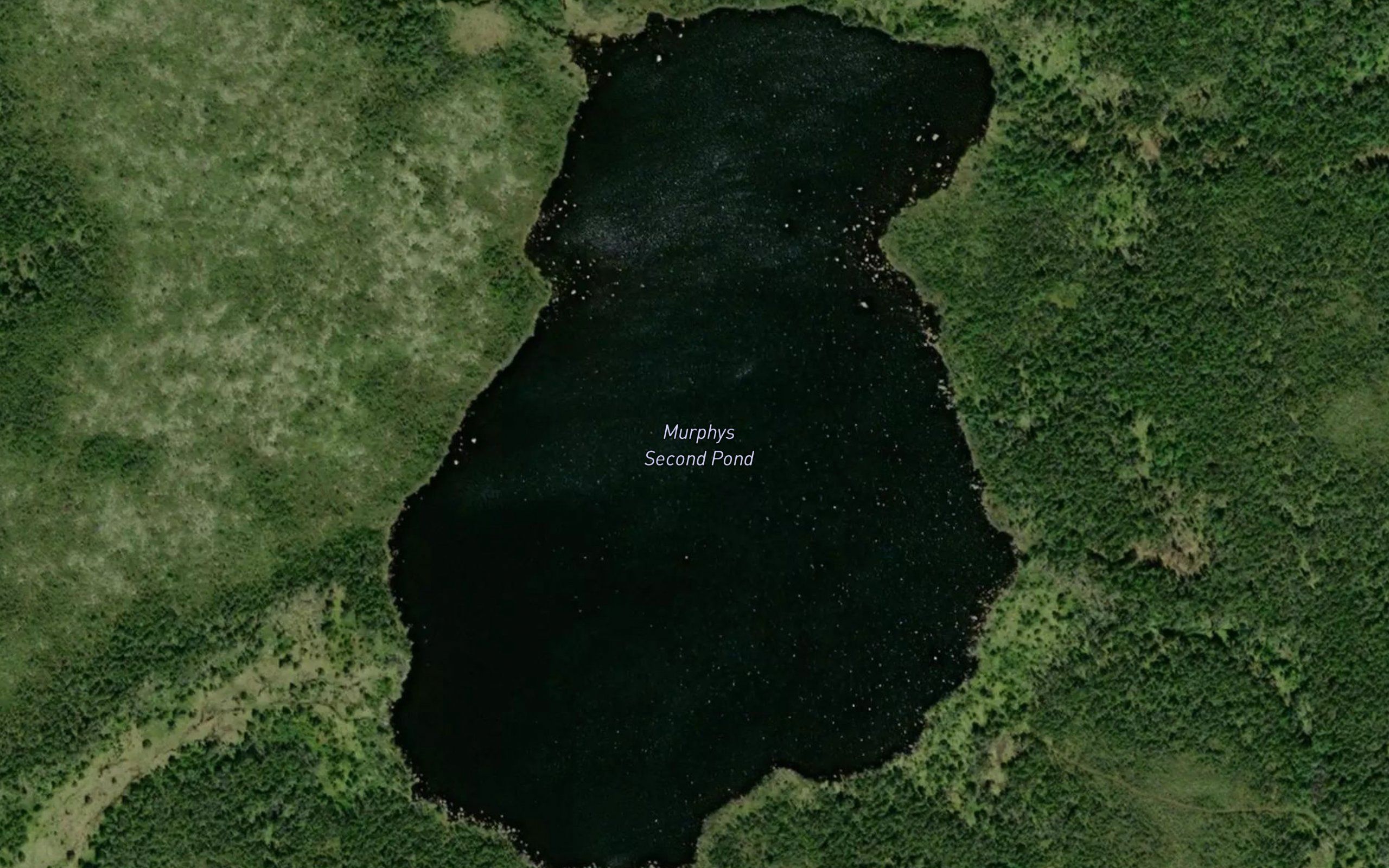 Murphys Second Pond