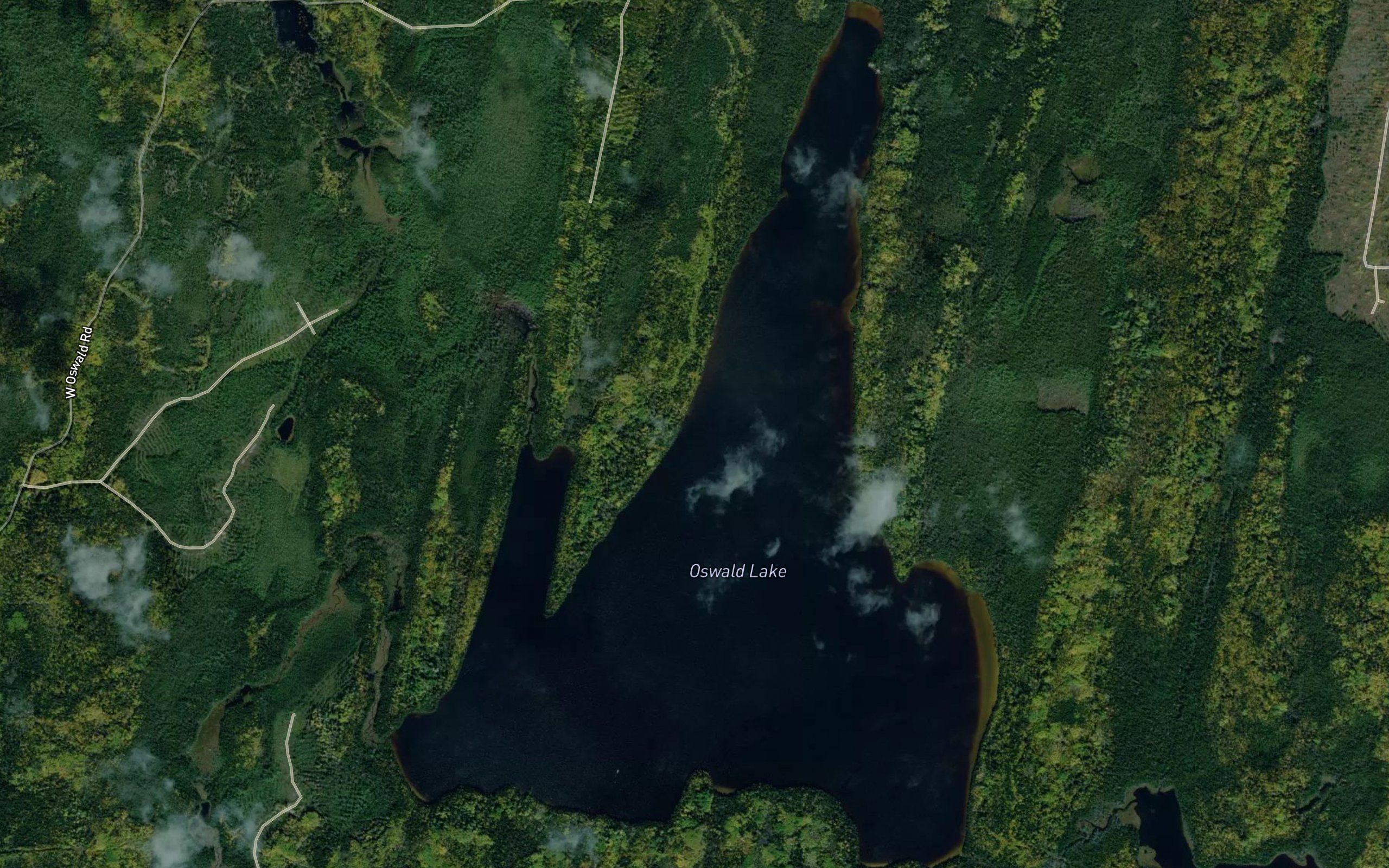 Oswald Lake