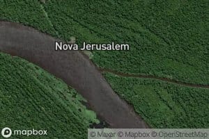 Parana Codajas-Mirim