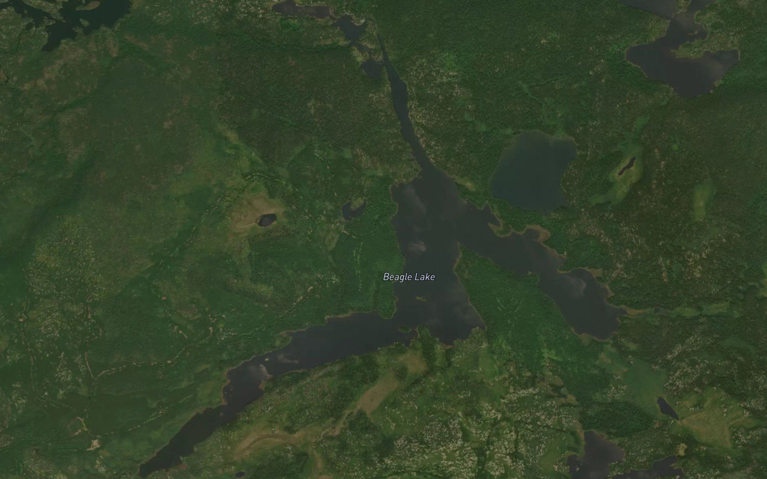 Beagle Lake