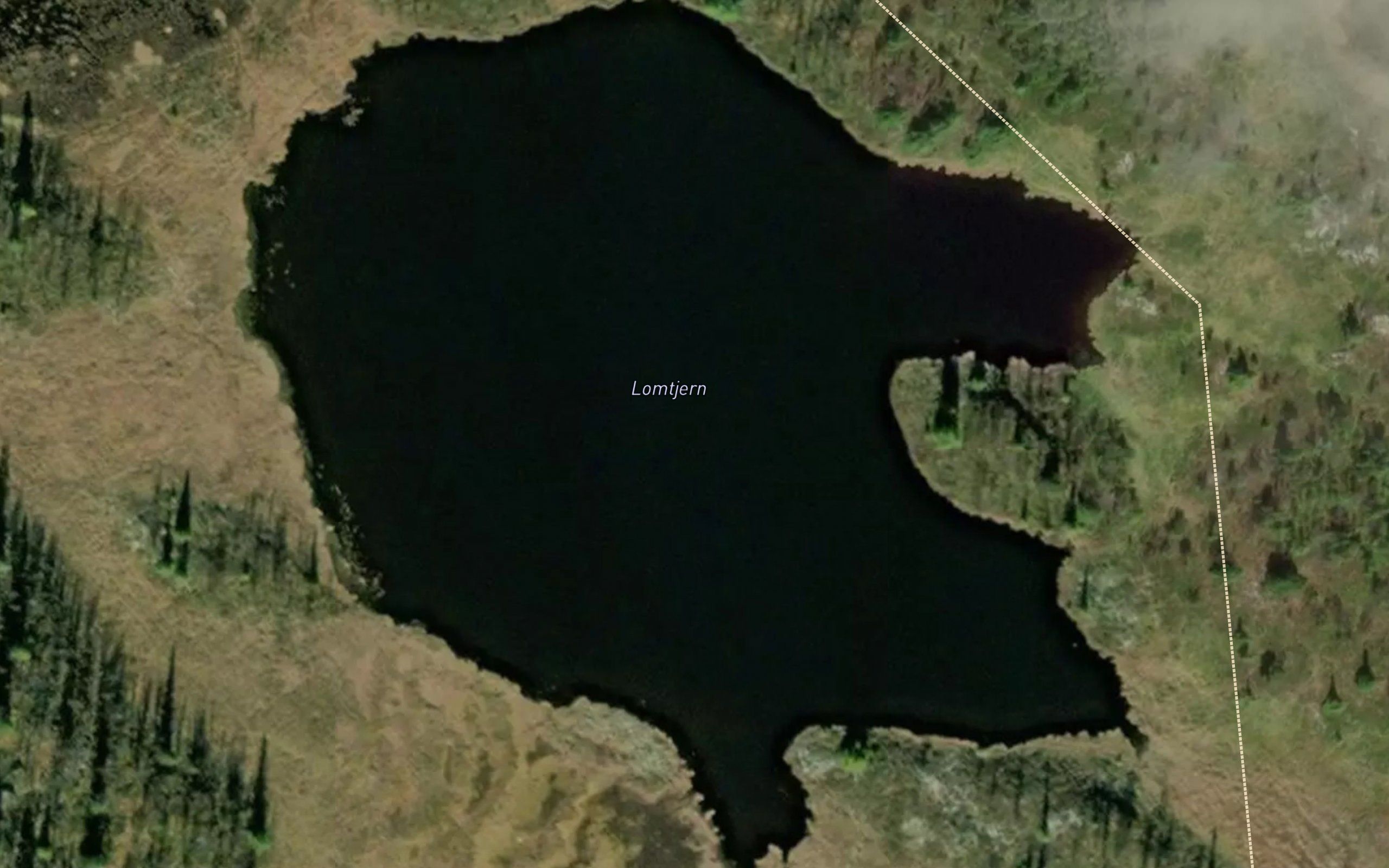 Lomtjernet
