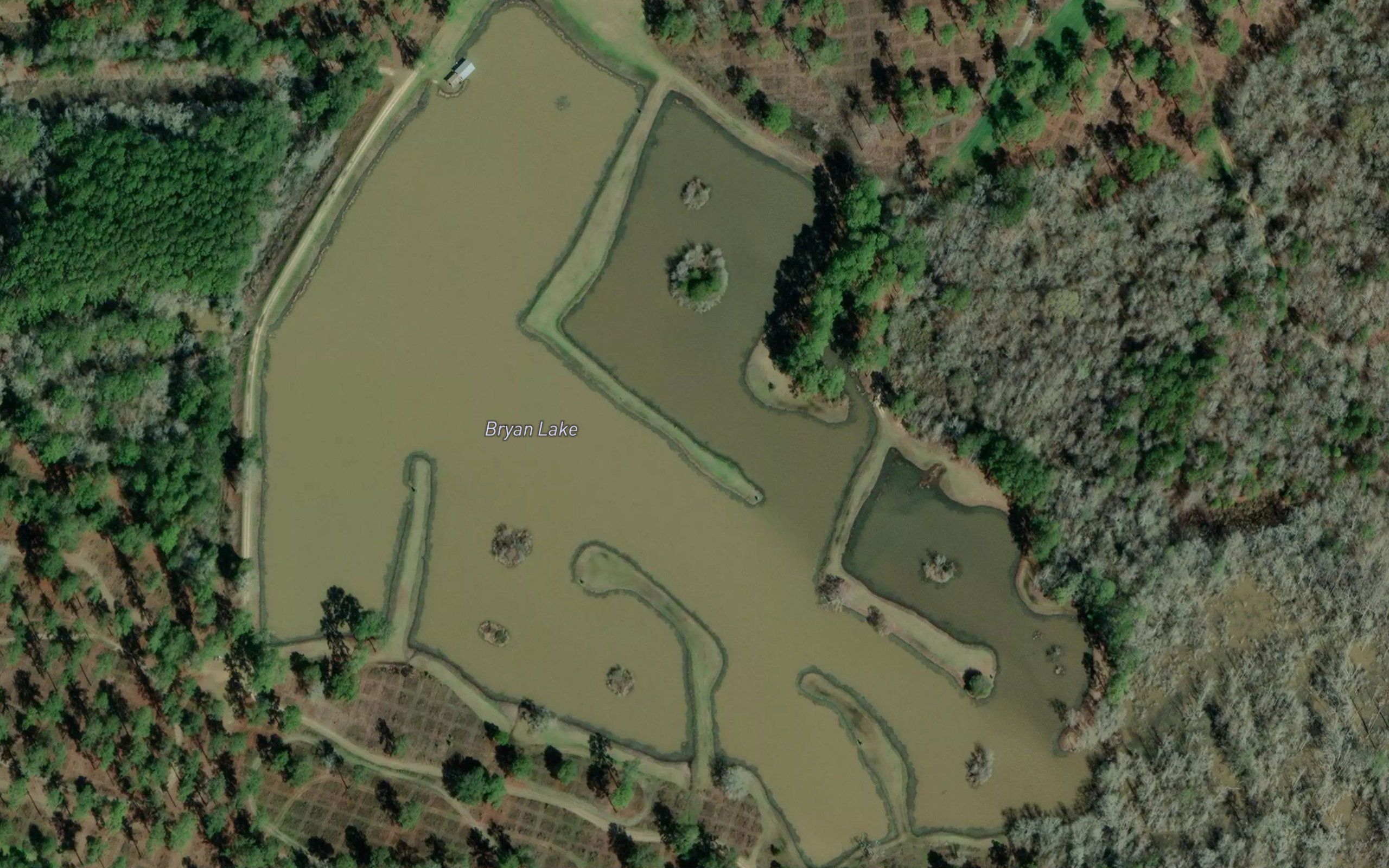 Bryan Lake