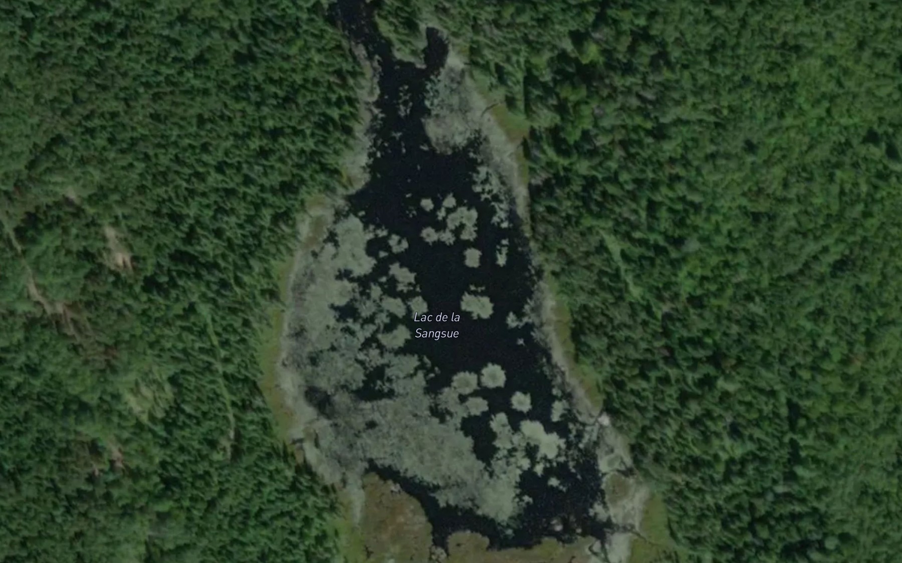 Satellite map of the Lac de la Sangsue