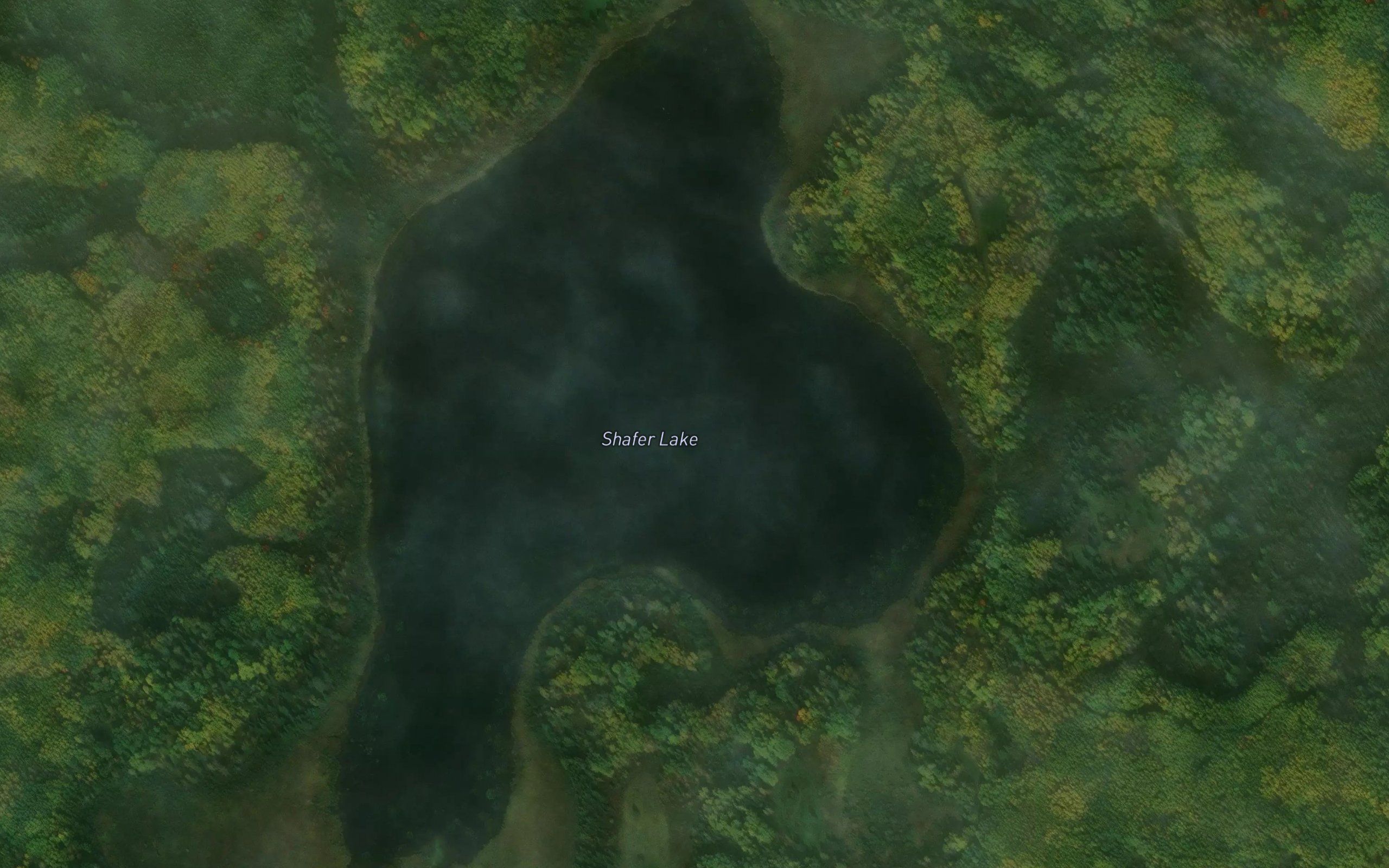 Shafer Lake