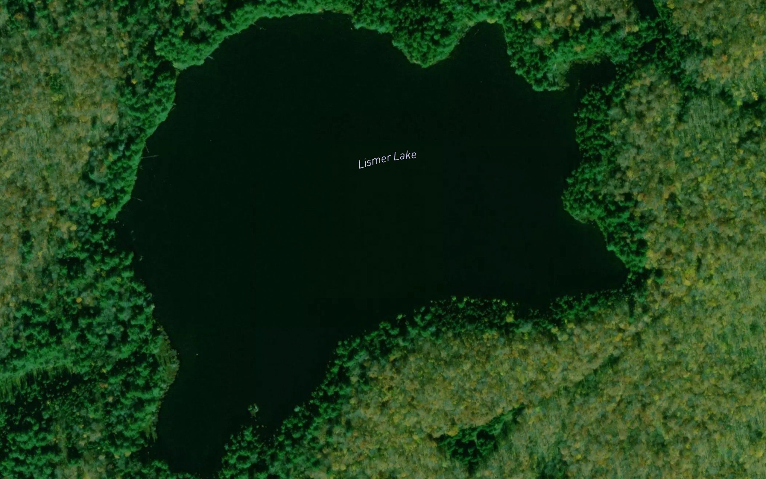 Lismer Lake