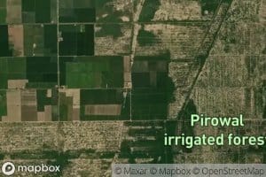 Two Left/Forest Distributary Minor