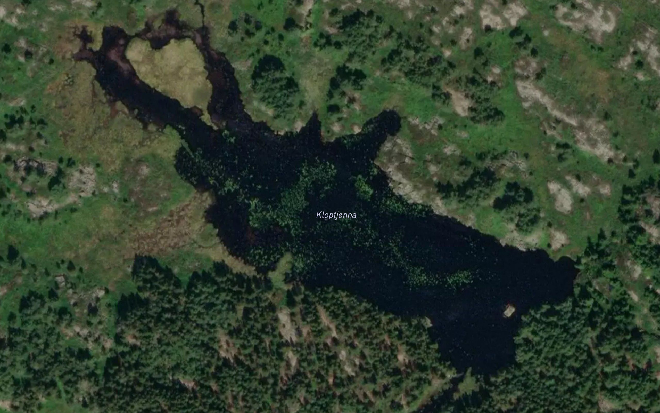 Kloptjonna