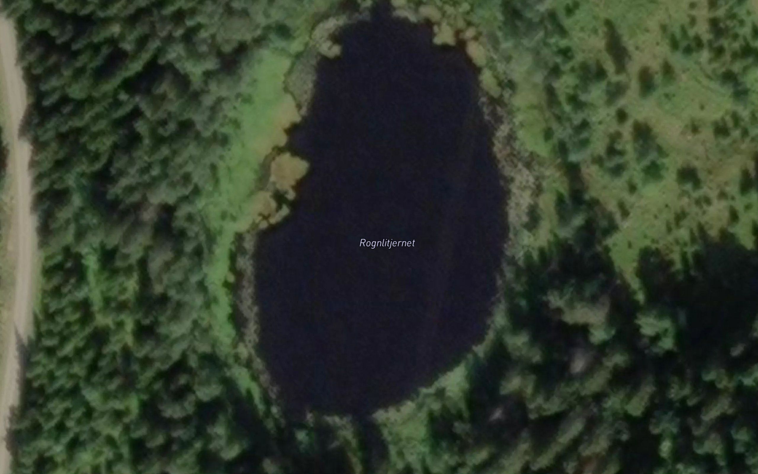 Rognlitjernet