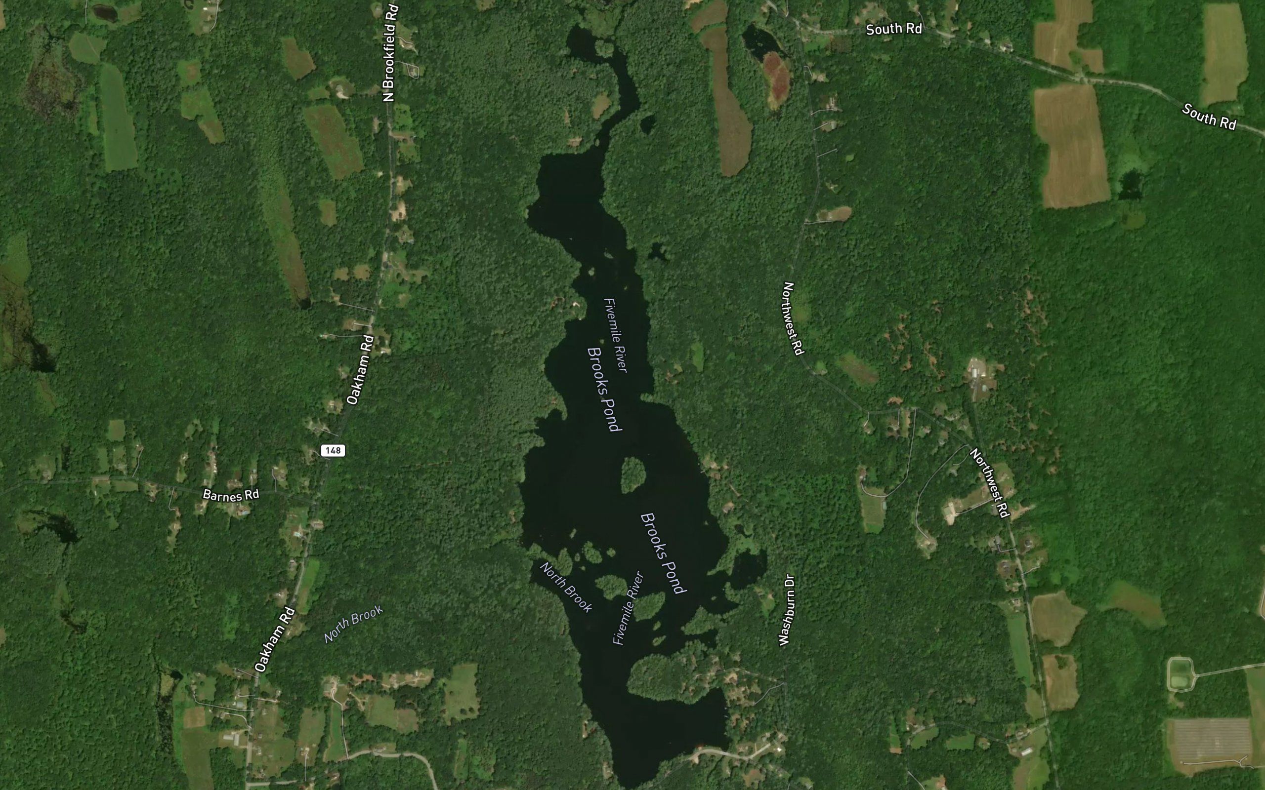 Brooks Pond