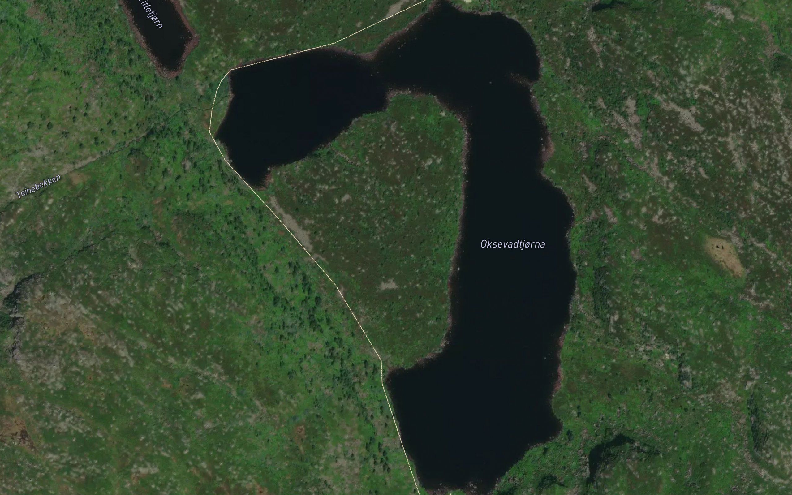Oksevatjorn