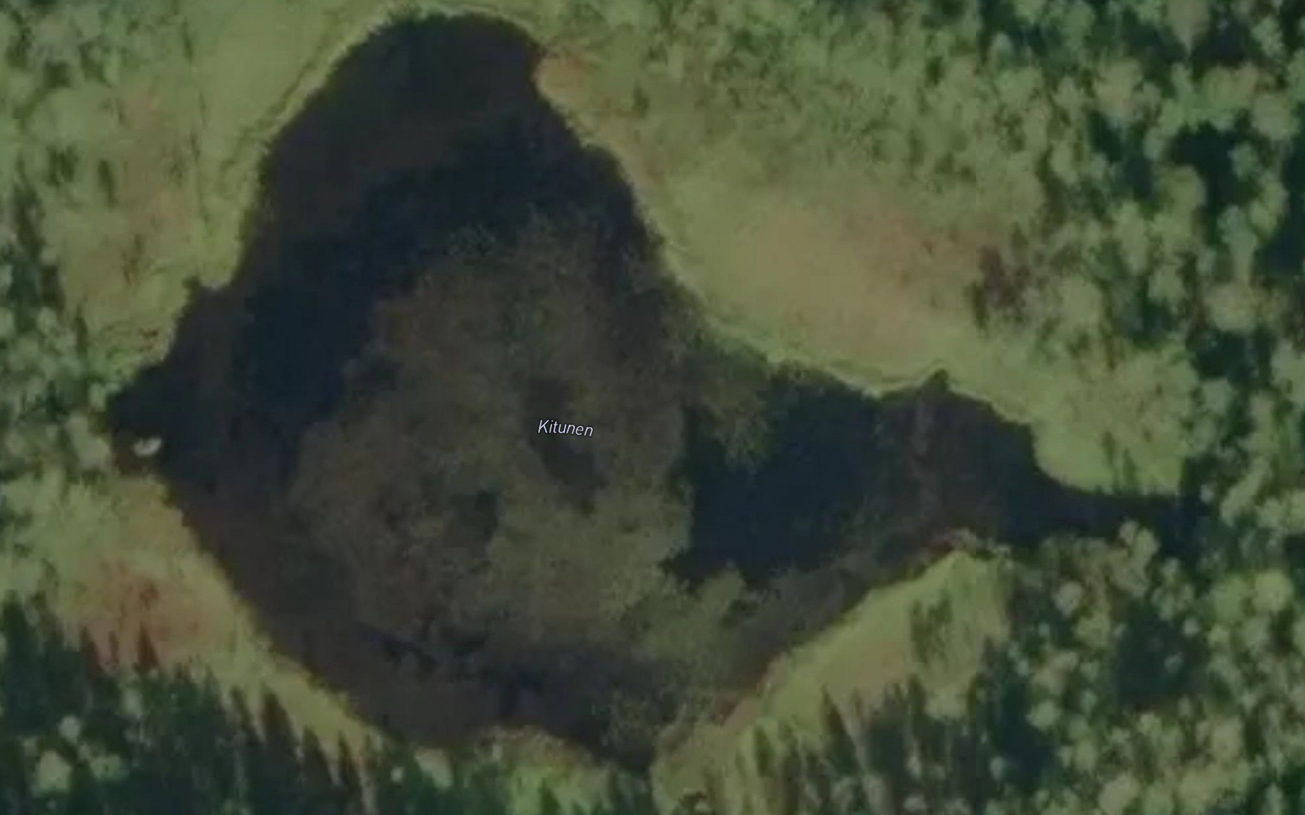 Kitunen