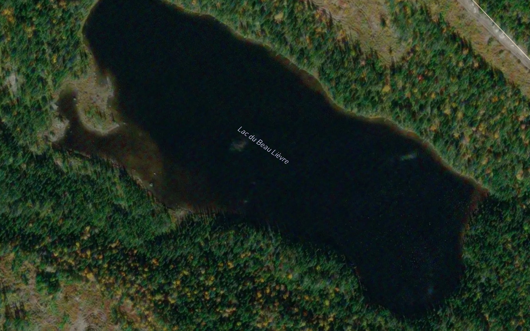 Satellite map of the Lac du Beau Lievre
