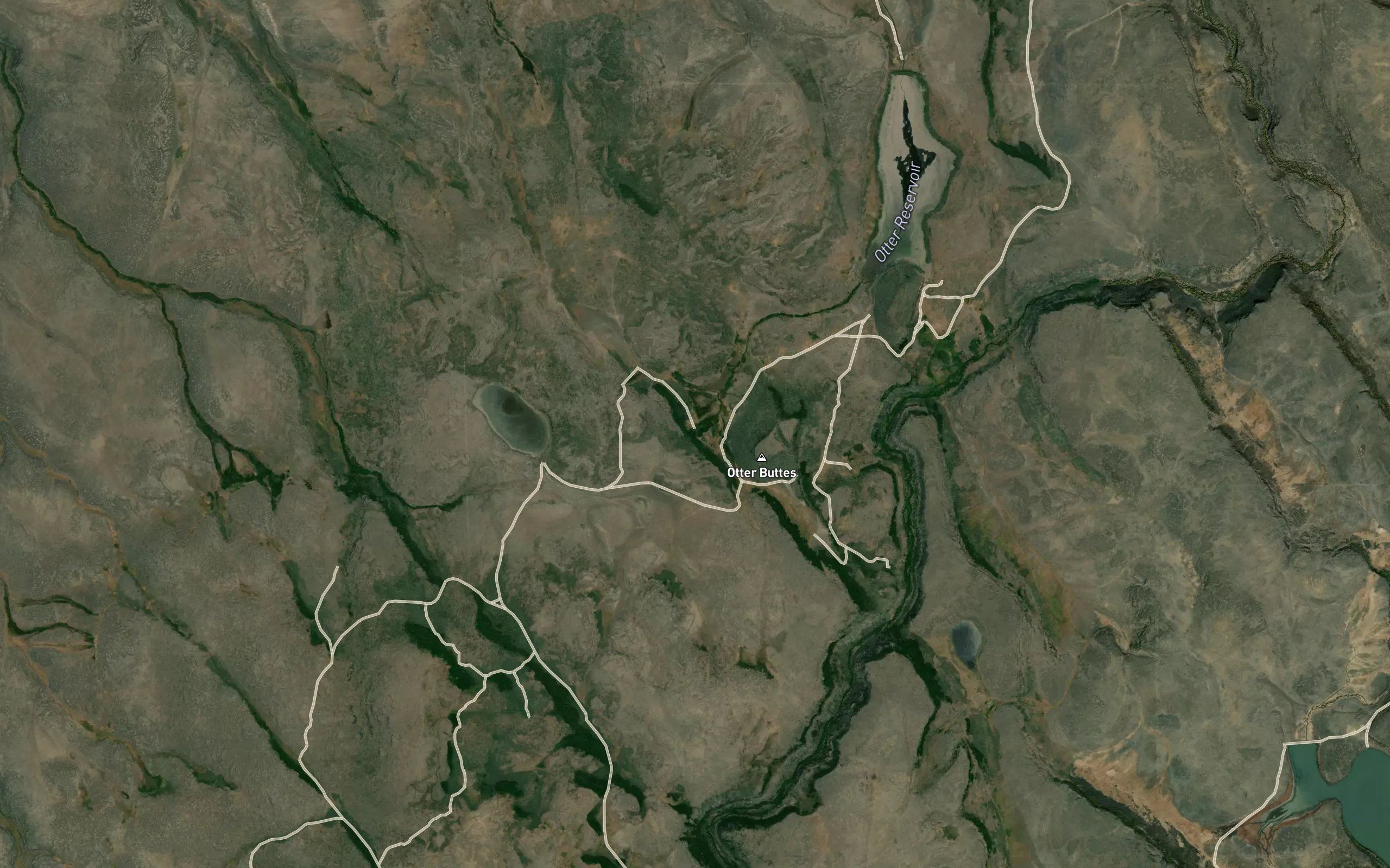 Otter Springs