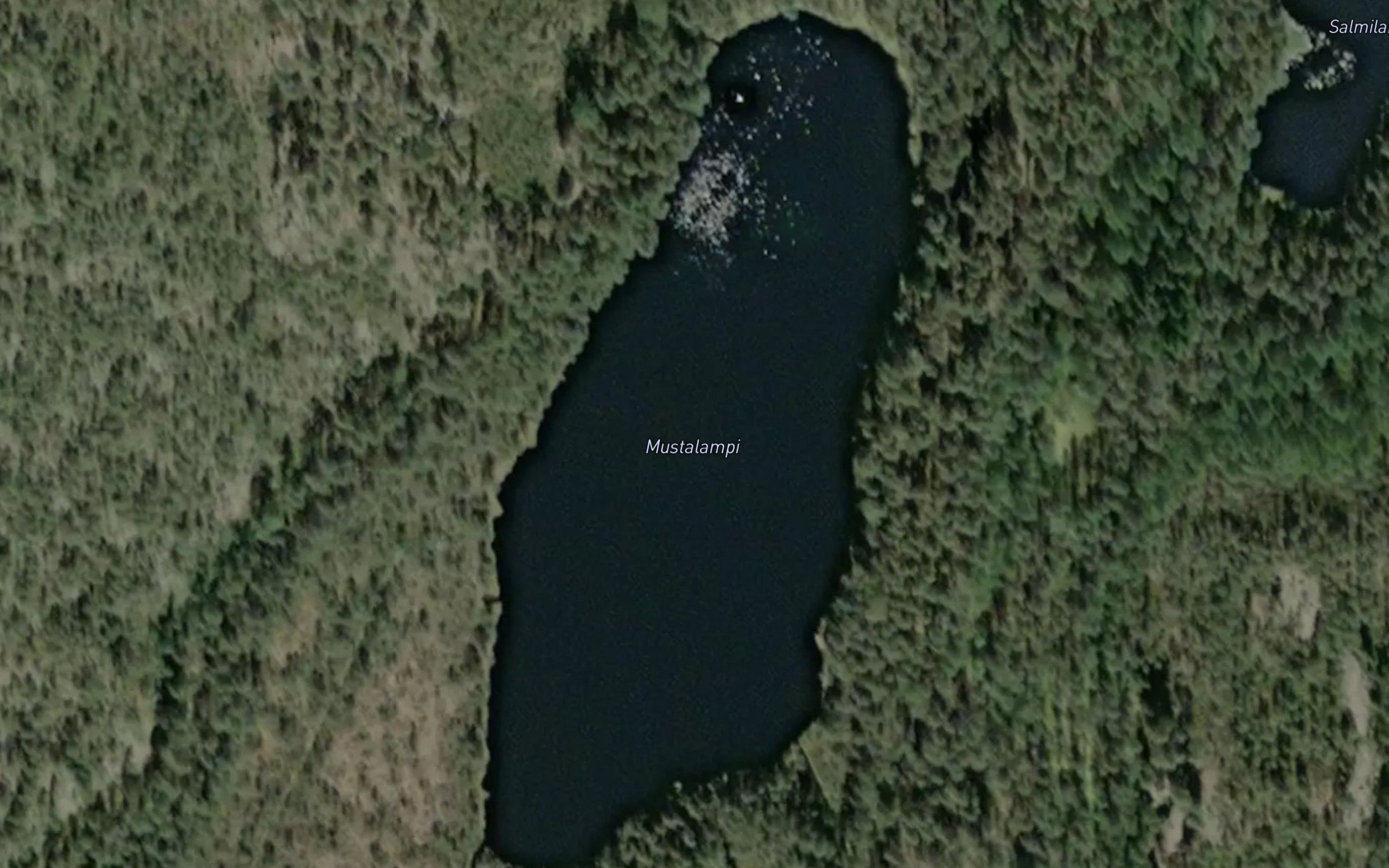 Mustalampi