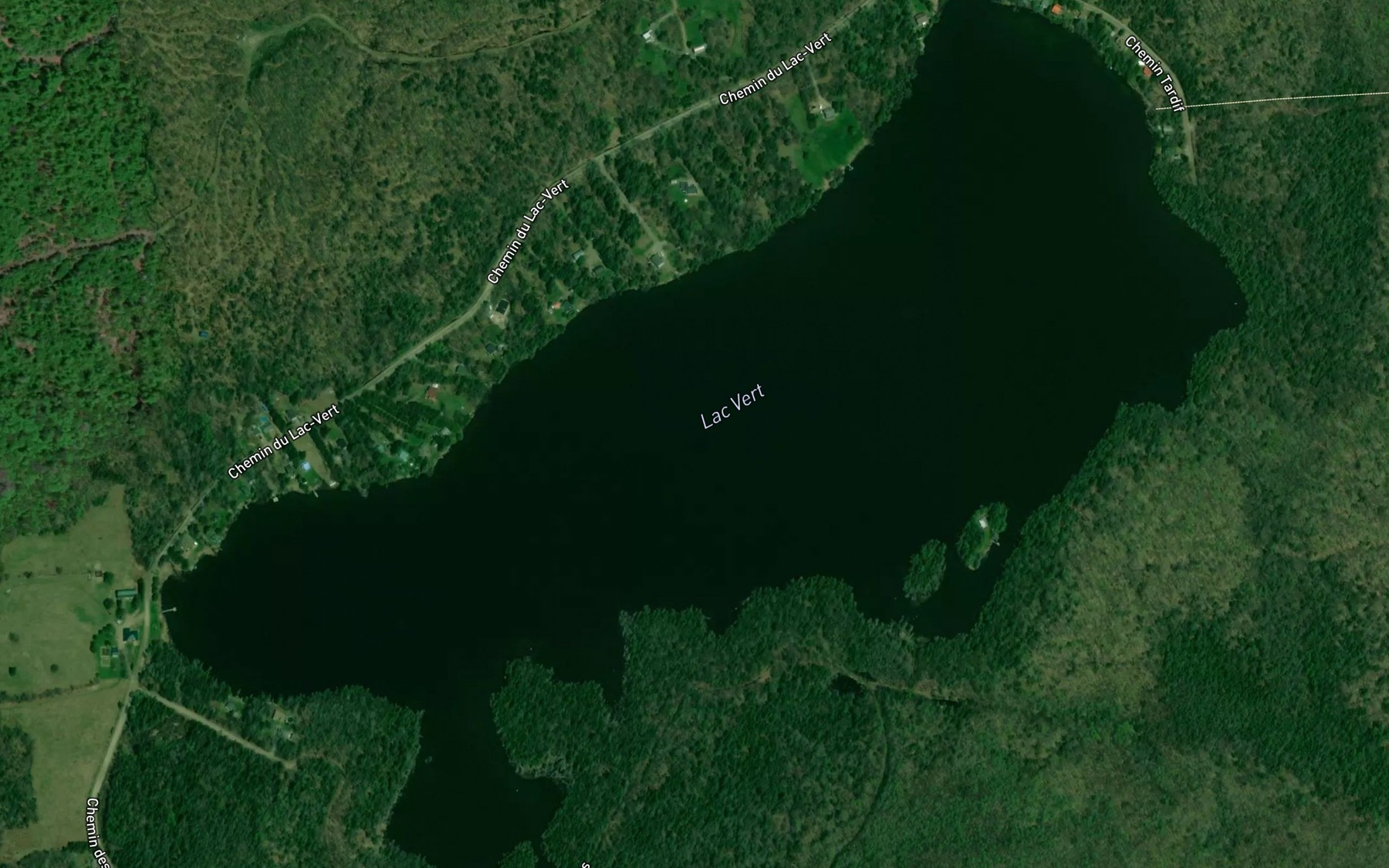Satellite map of the Lac Vert