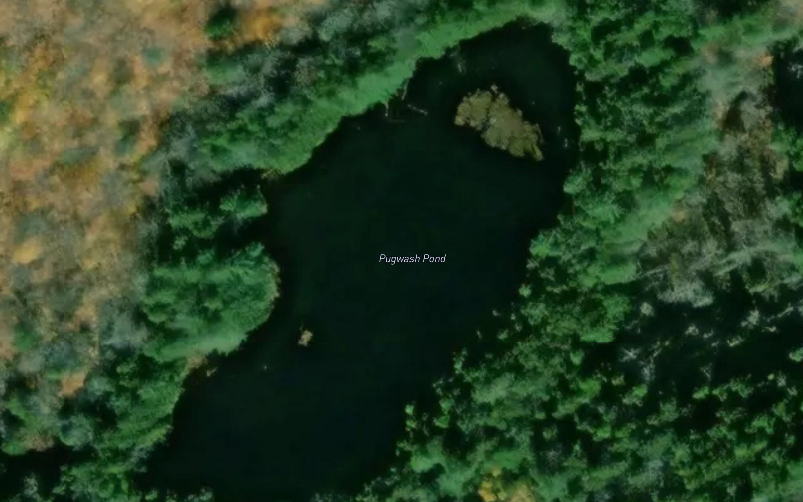 Pugwash Pond