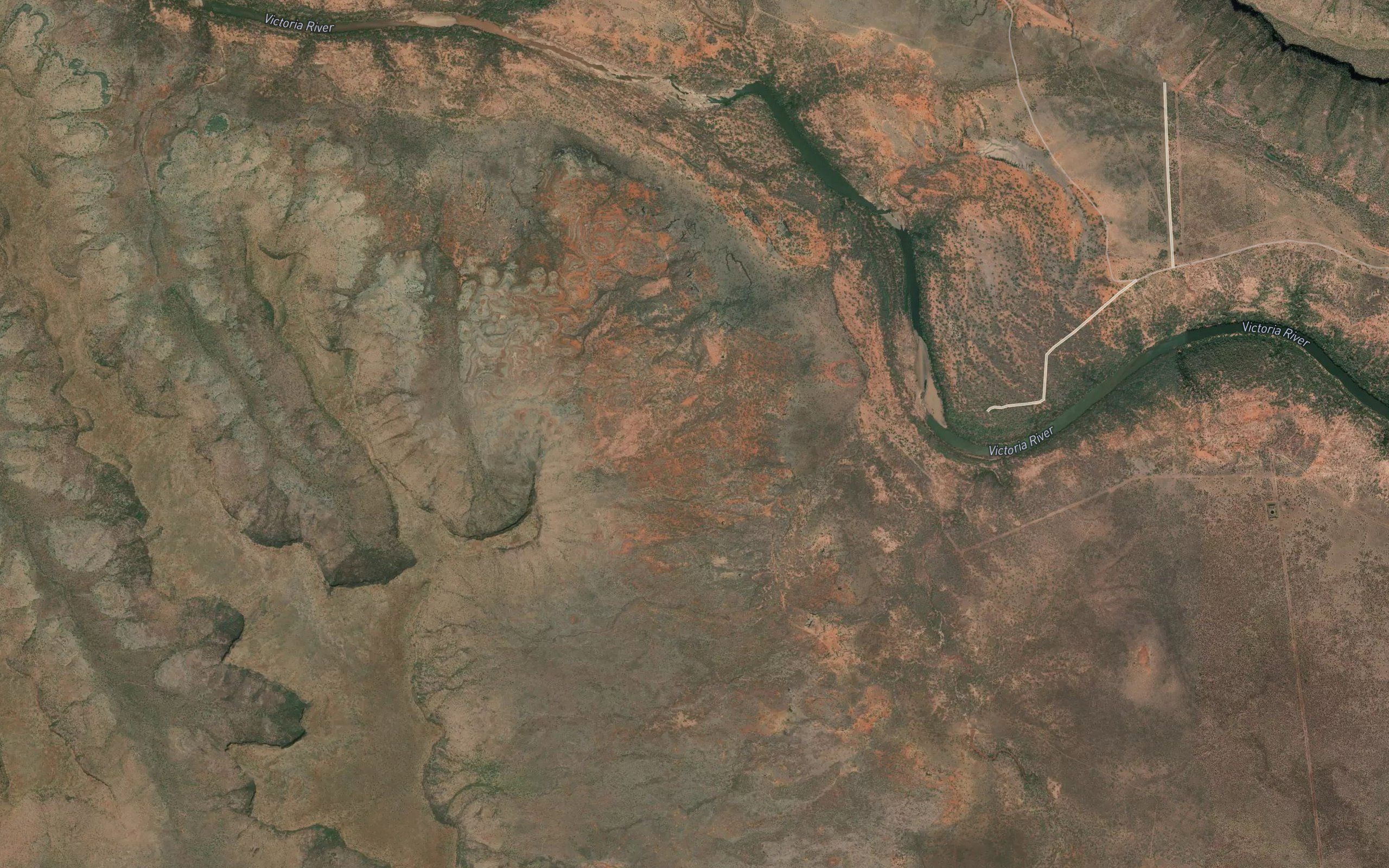 Tortoise Reach