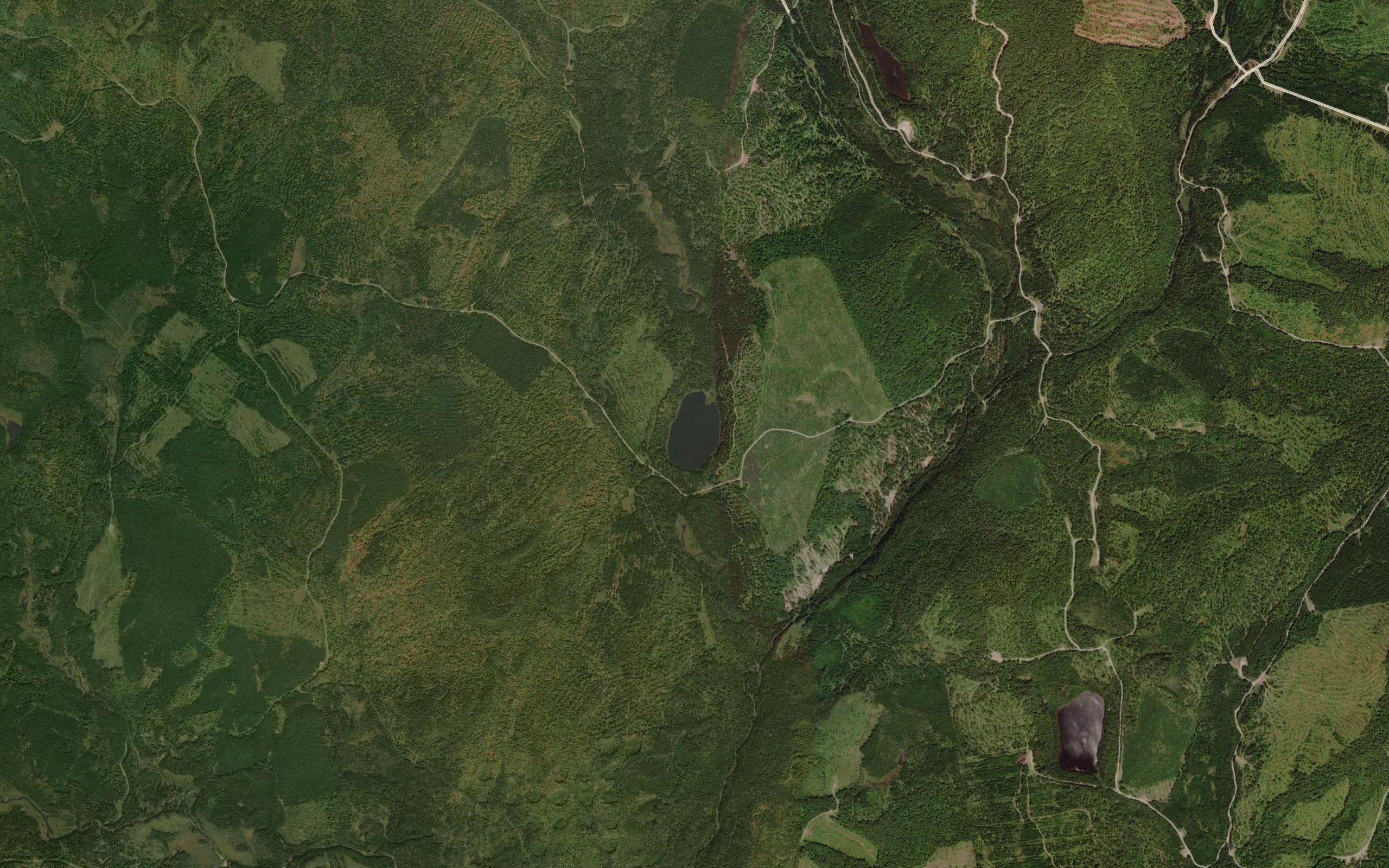 Upper Black Pond